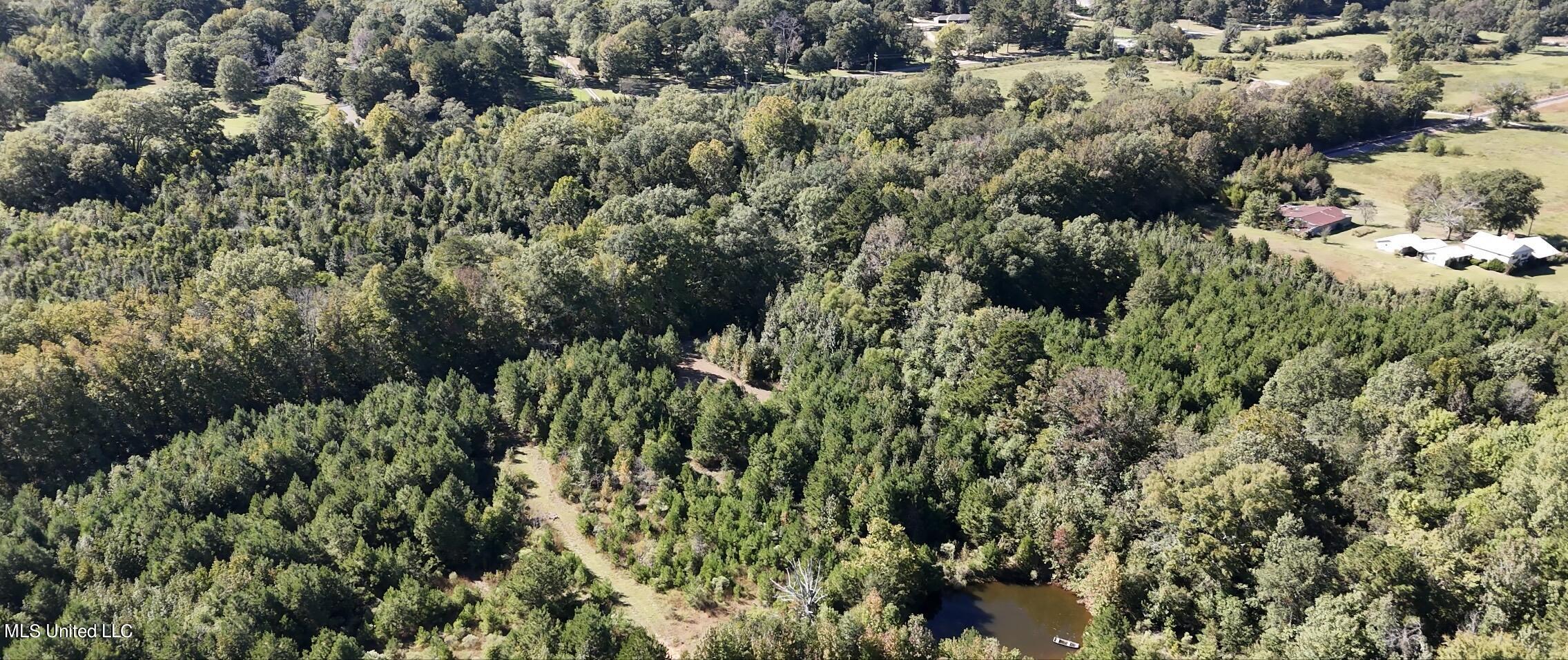 2487 Highway 49 Property Photo 5