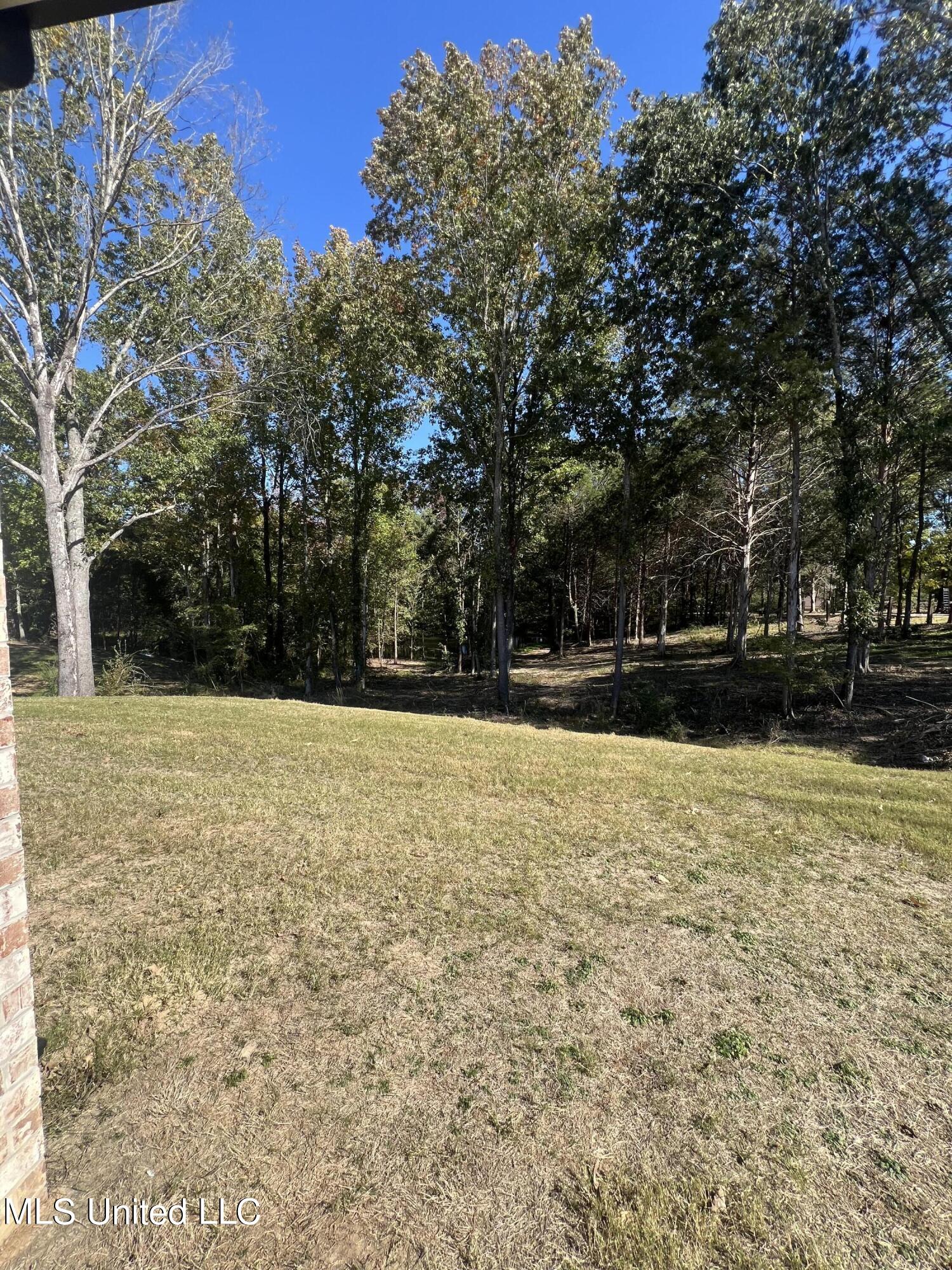 214 E Byhalia Creek Farms Road Property Photo 19