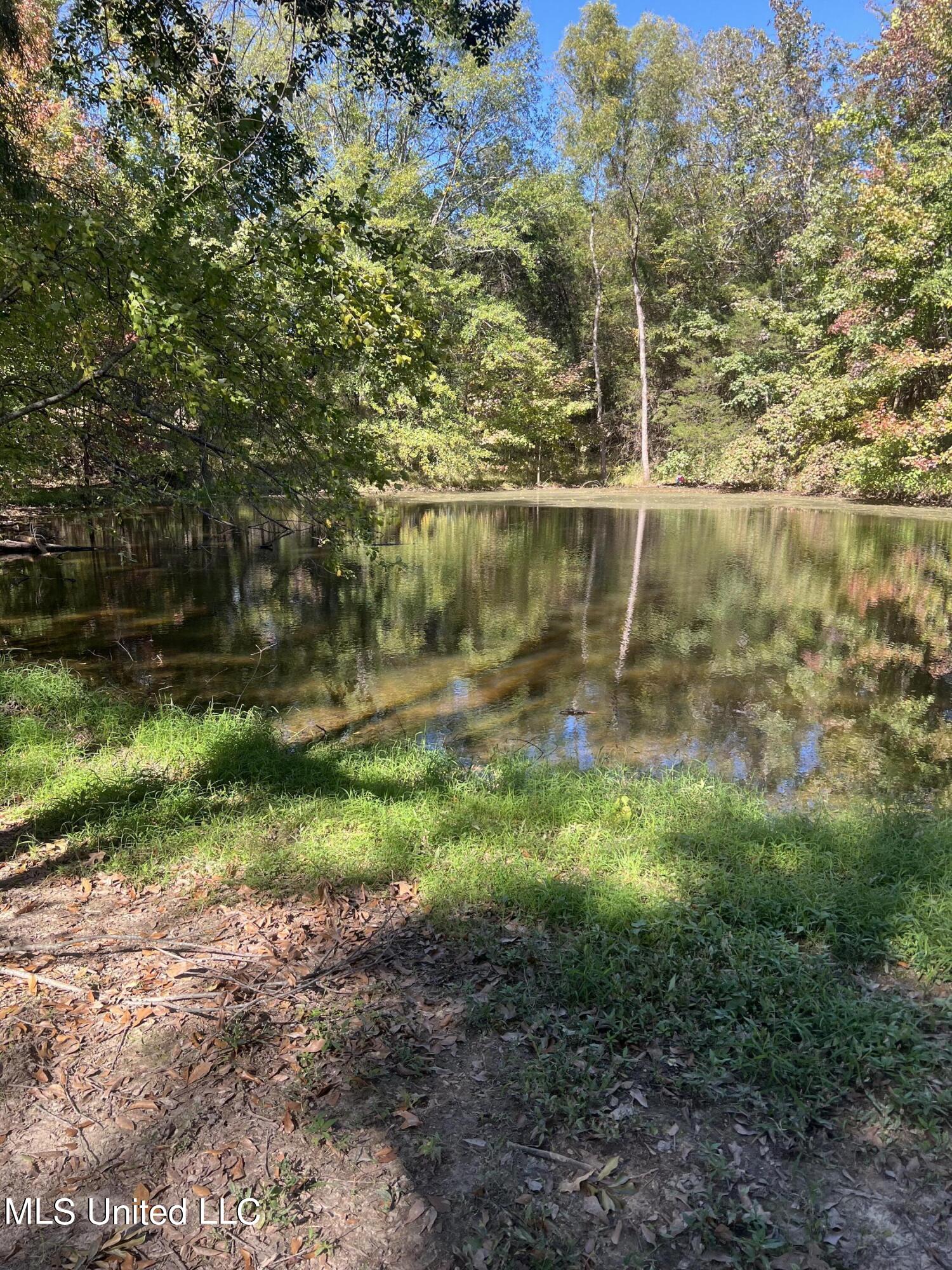 214 E Byhalia Creek Farms Road Property Photo 20