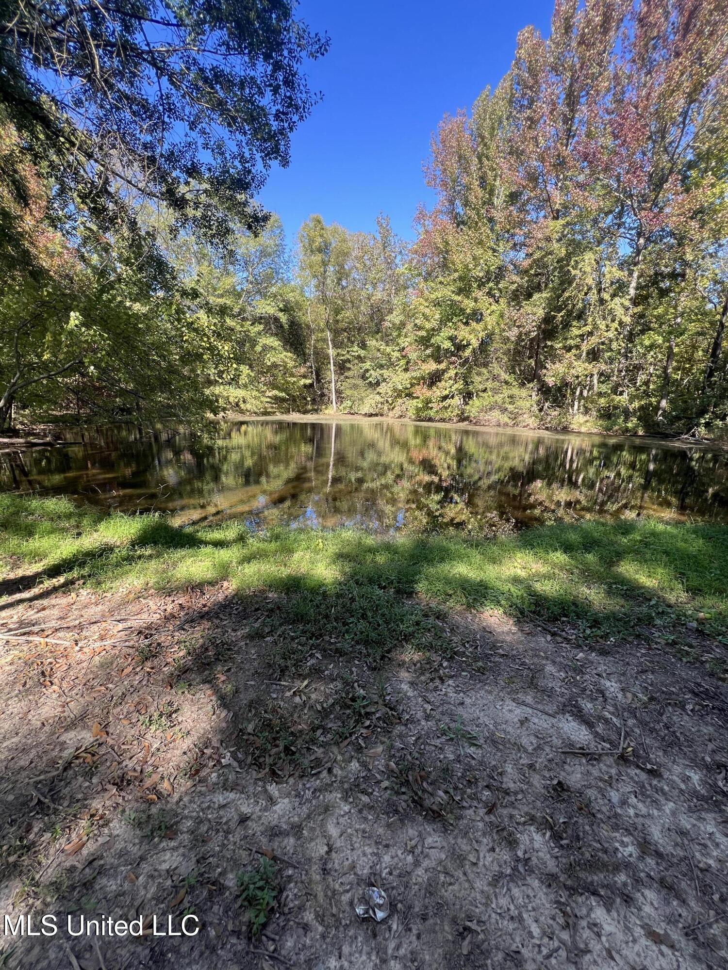 214 E Byhalia Creek Farms Road Property Photo 21