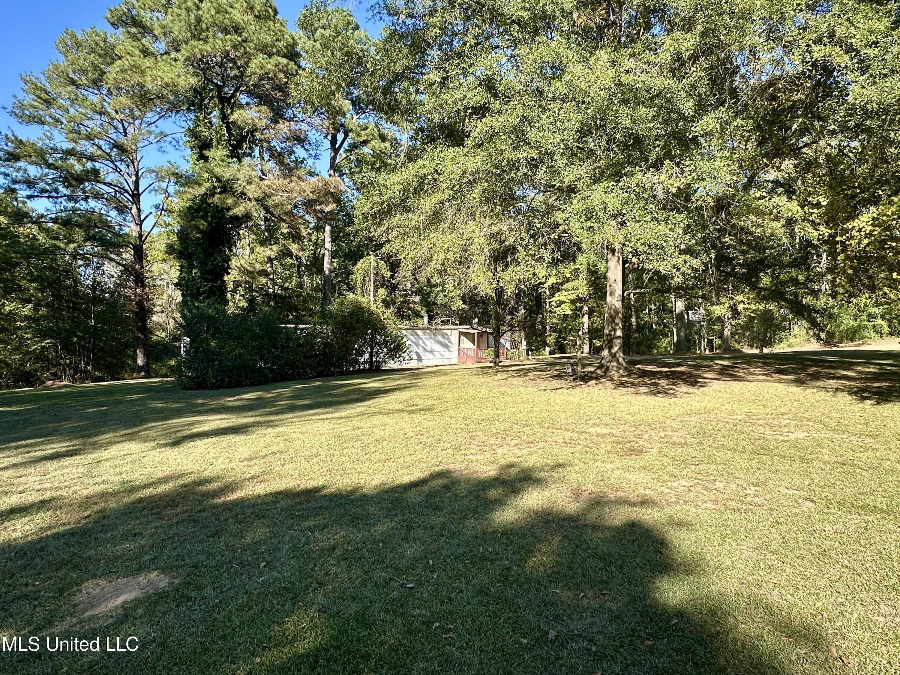 5214 Old Jackson Road Property Photo 22