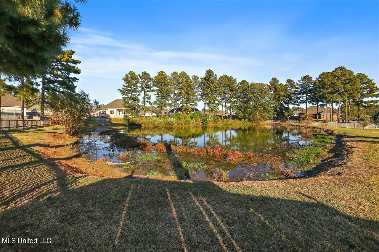 107 Twain Trail Property Photo 36