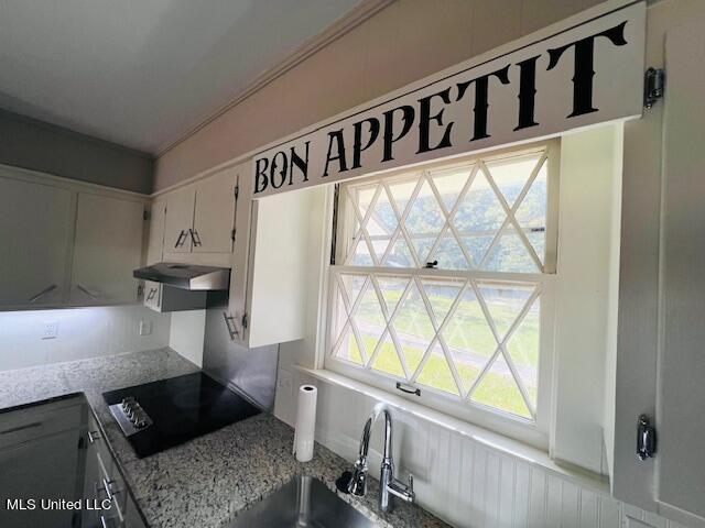 206 Lewis Street Property Photo 9