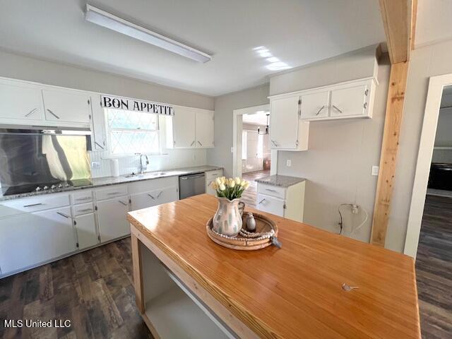 206 Lewis Street Property Photo 11