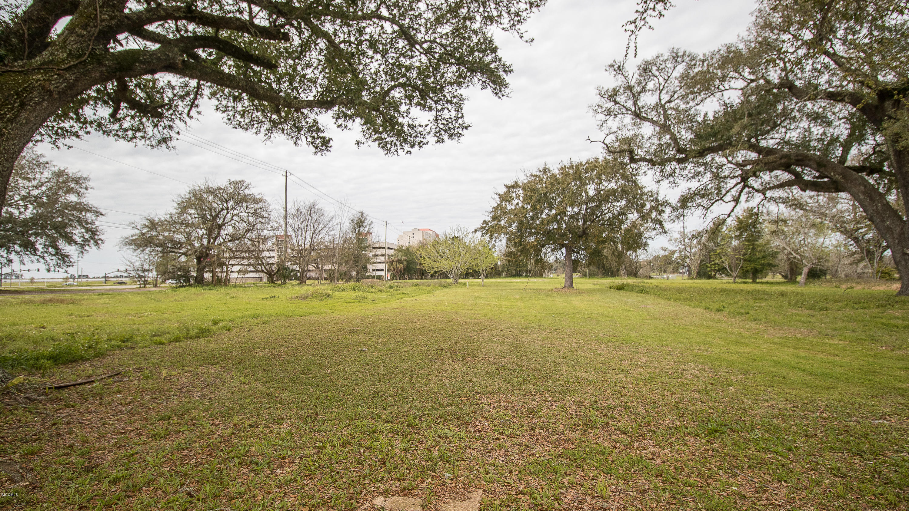121 Cedar Street Property Photo 5
