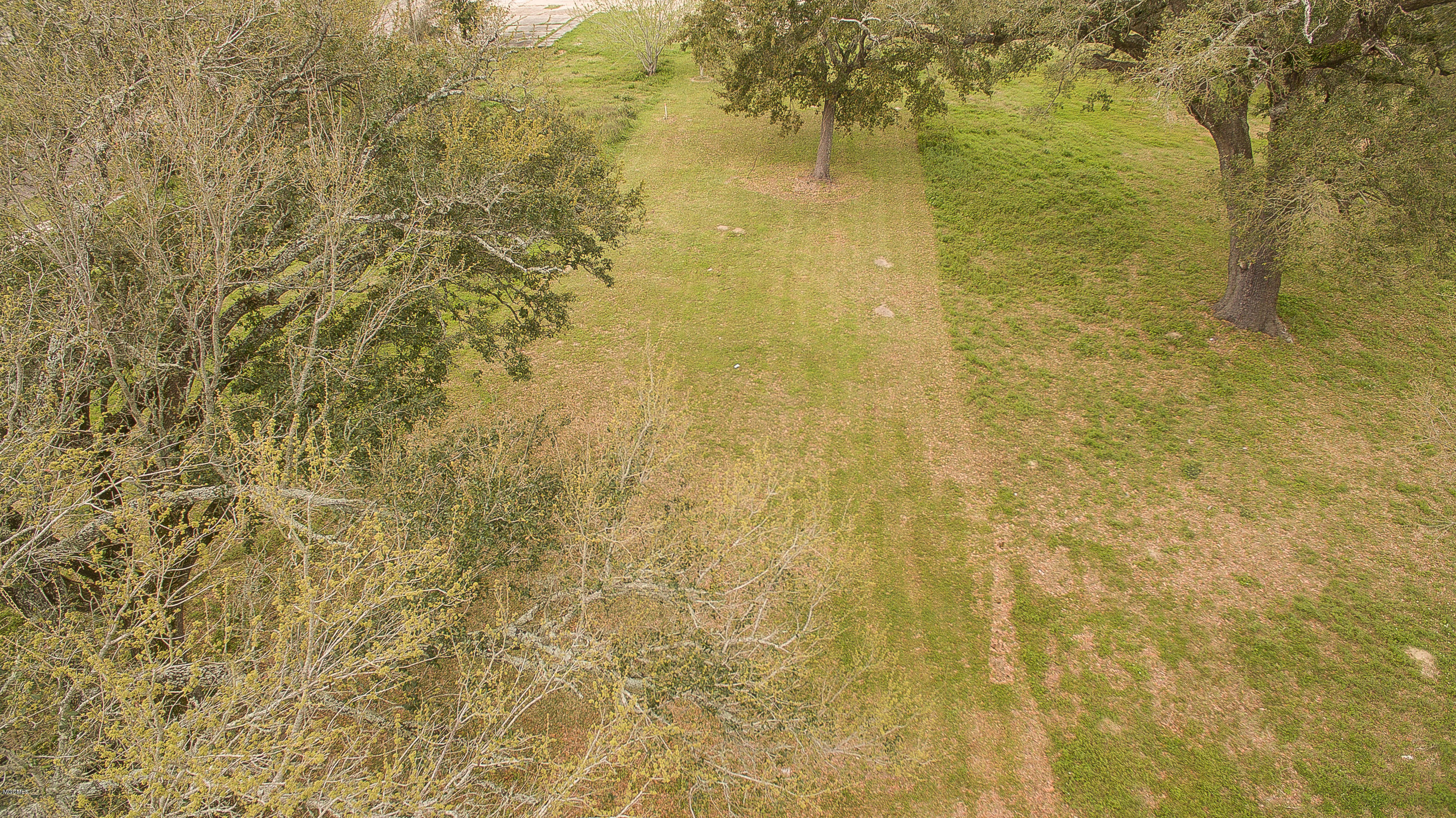 121 Cedar Street Property Photo 6