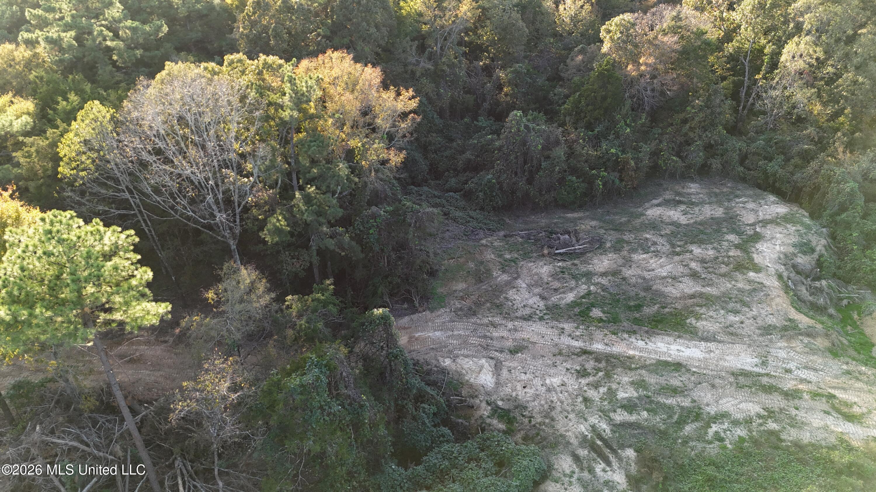 3 Tyro Branch Cove Property Photo 4