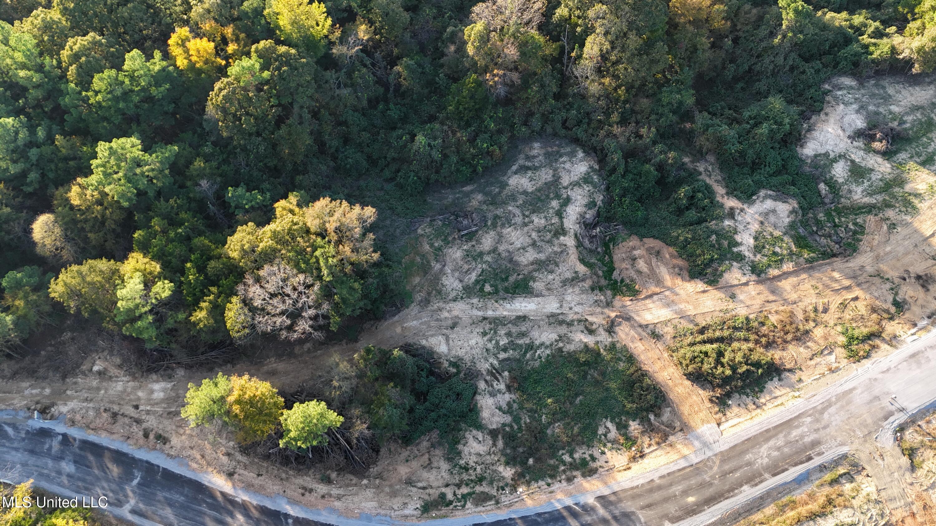 3 Tyro Branch Cove Property Photo 6