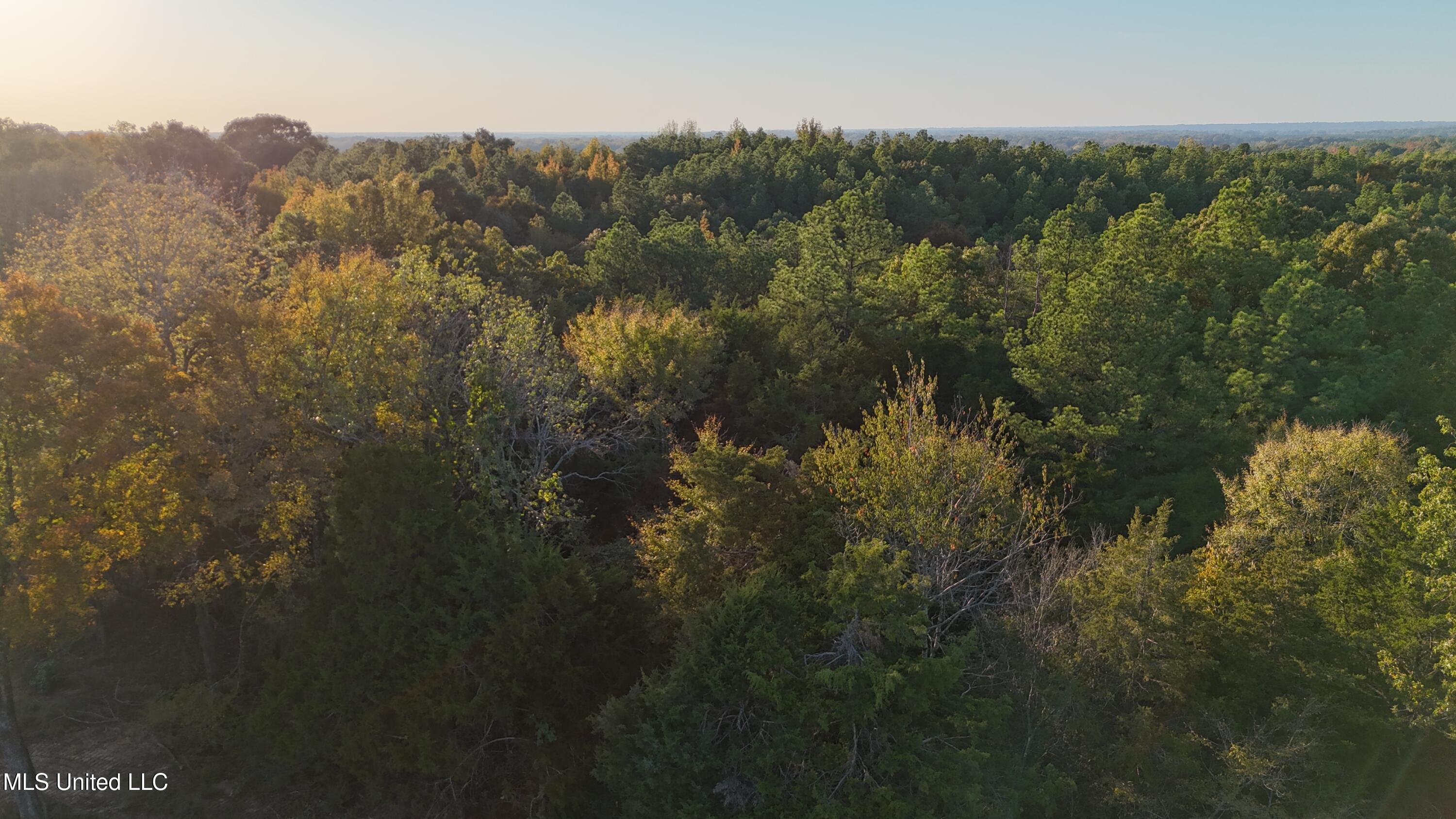 3 Tyro Branch Cove Property Photo 9