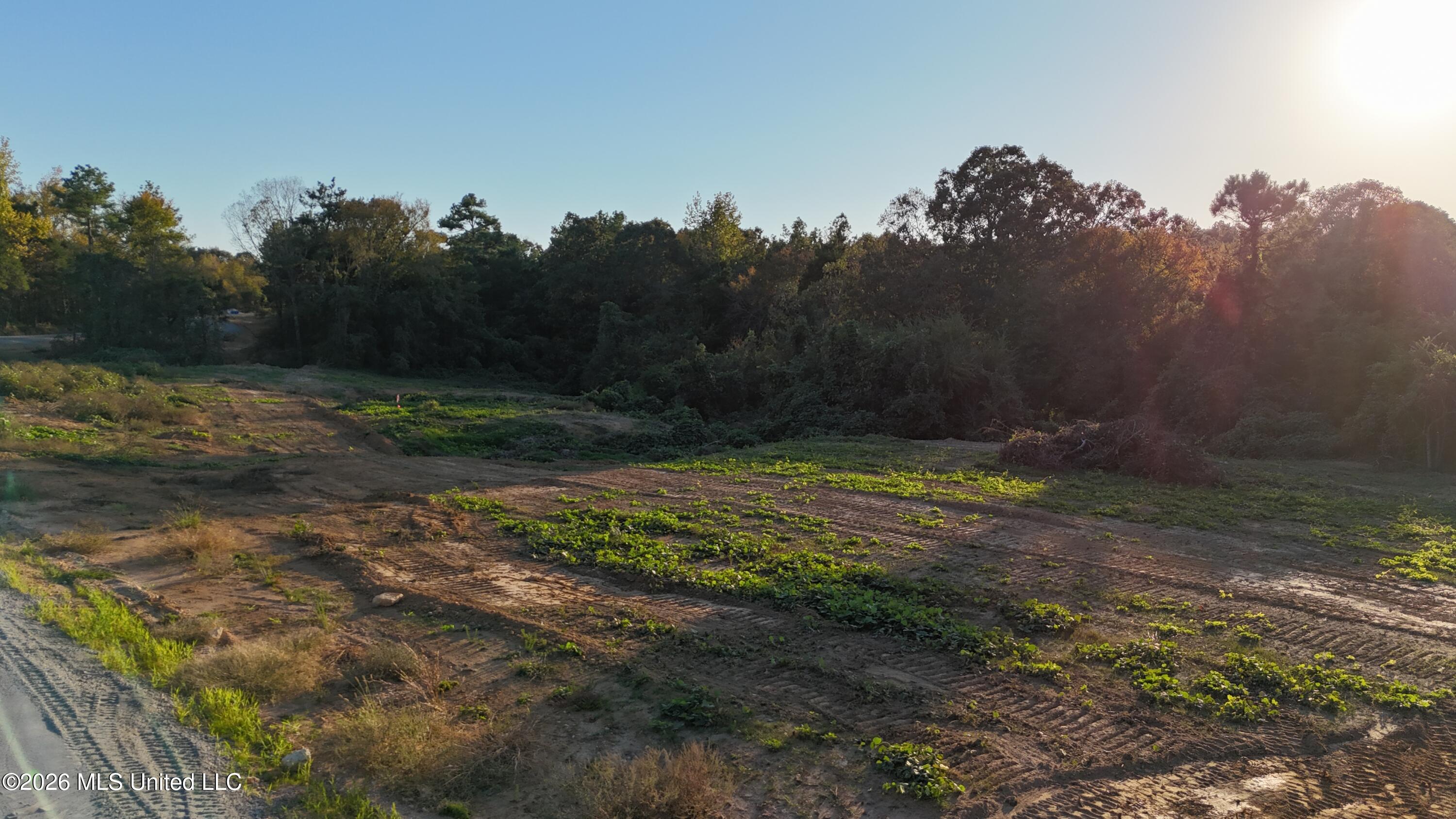 4 Tyro Branch Cove Property Photo 2