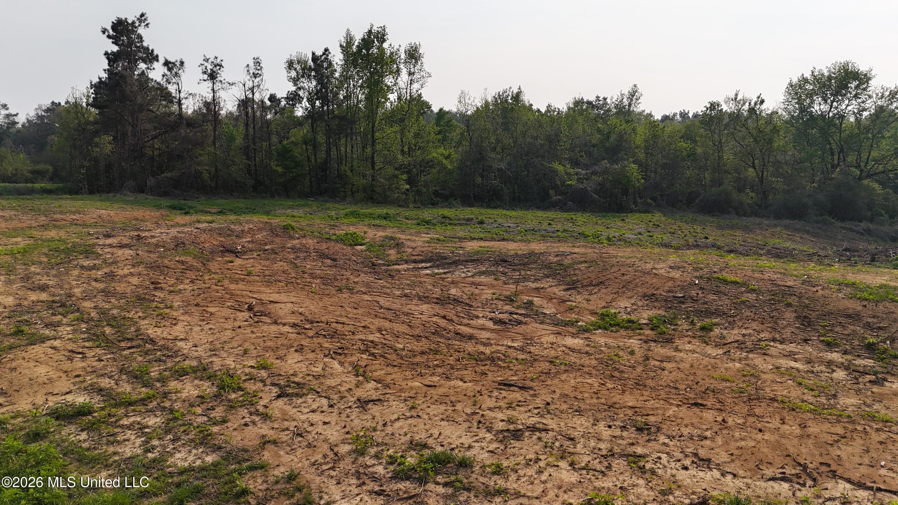 4 Tyro Branch Cove Property Photo 3