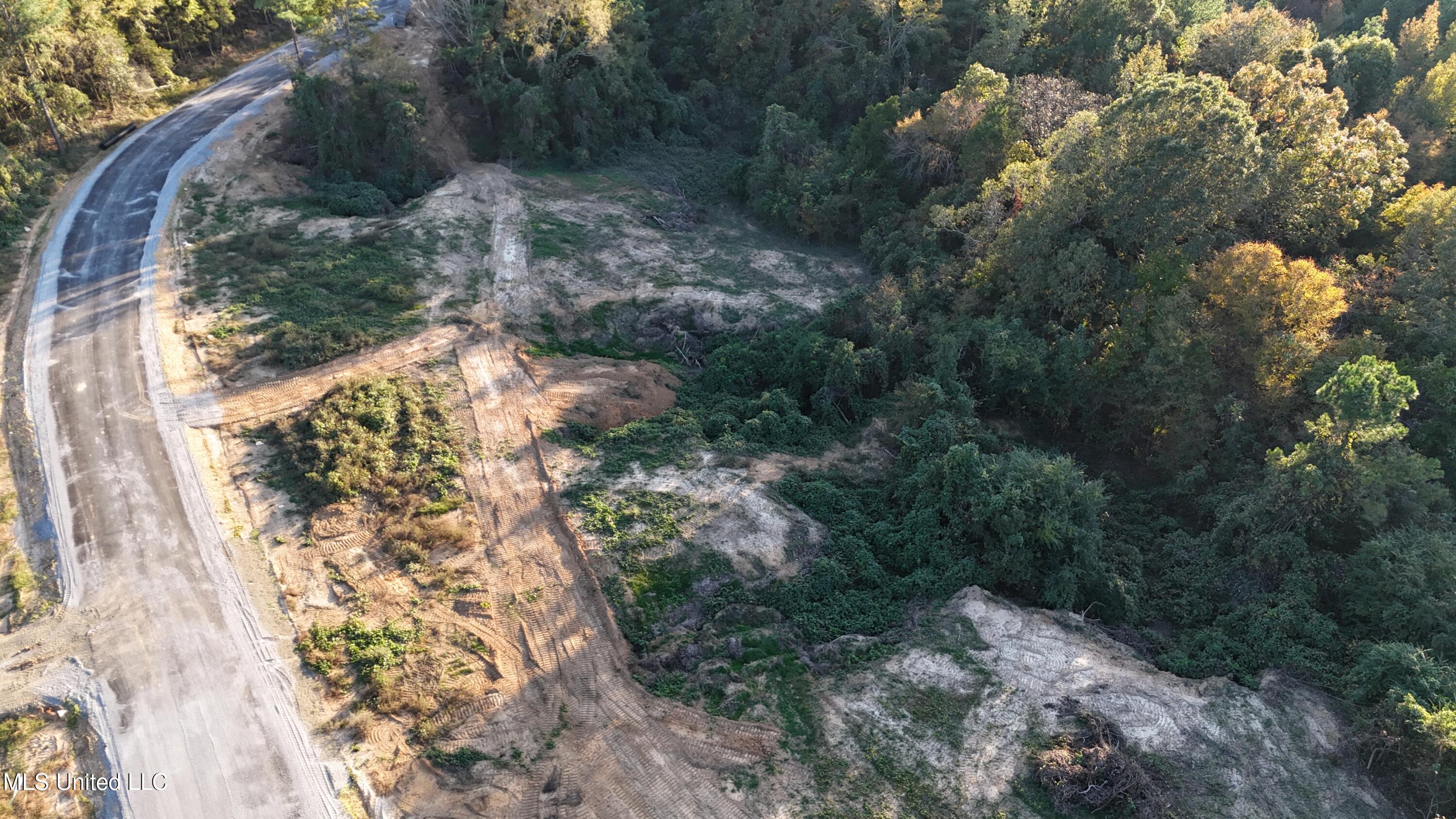 4 Tyro Branch Cove Property Photo 5