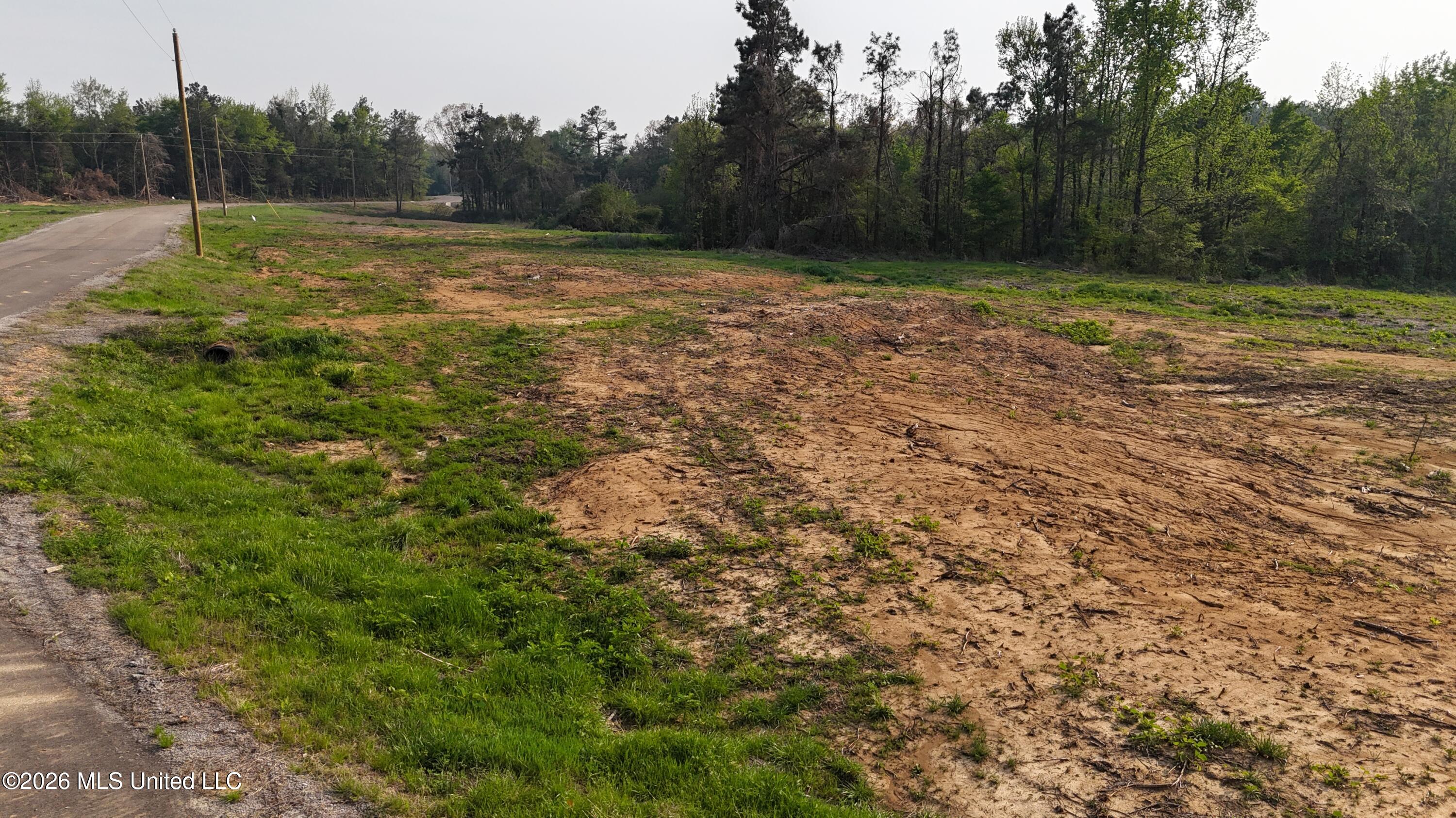 5 Tyro Branch Cove Property Photo 2