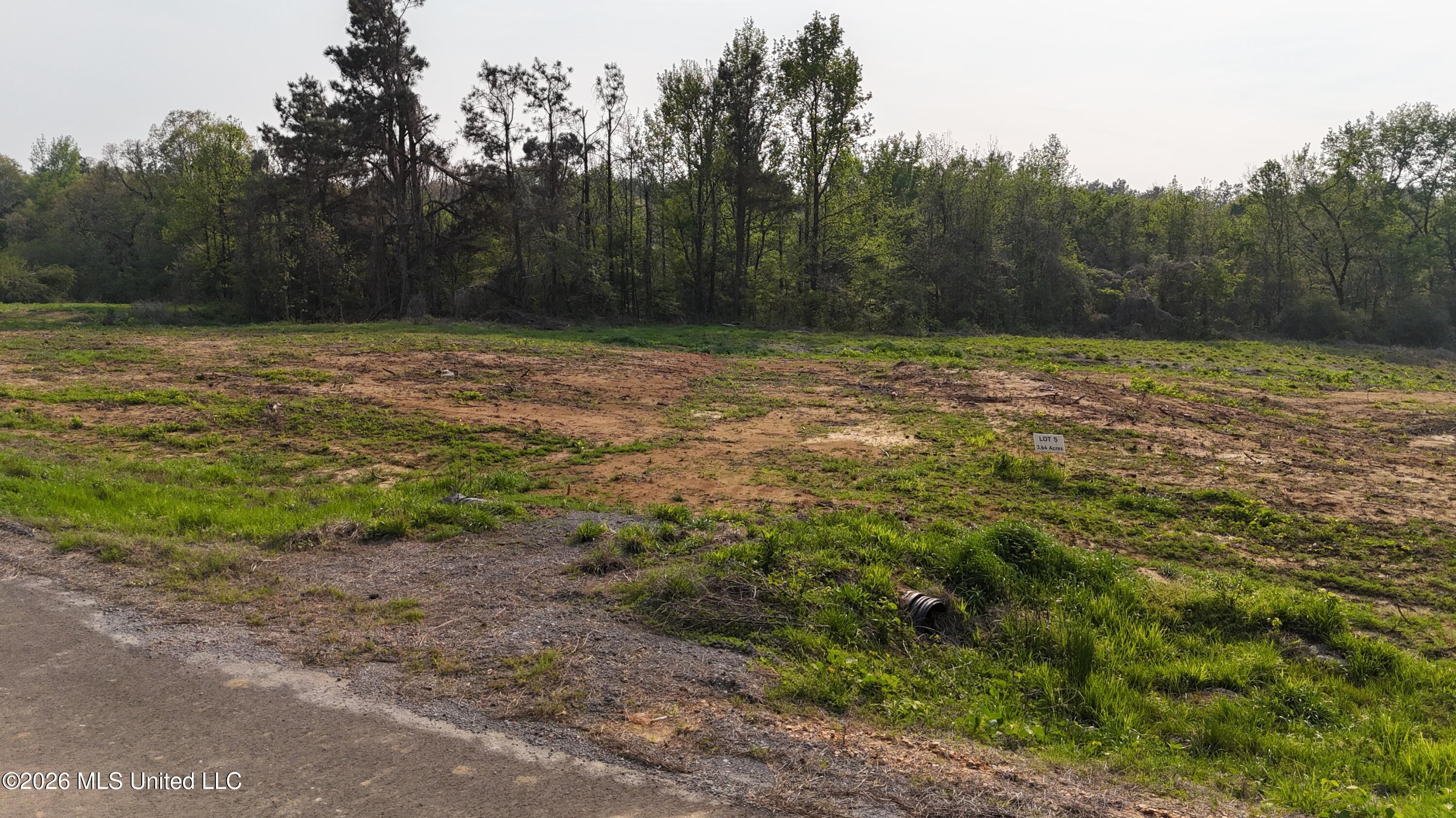 5 Tyro Branch Cove Property Photo 3