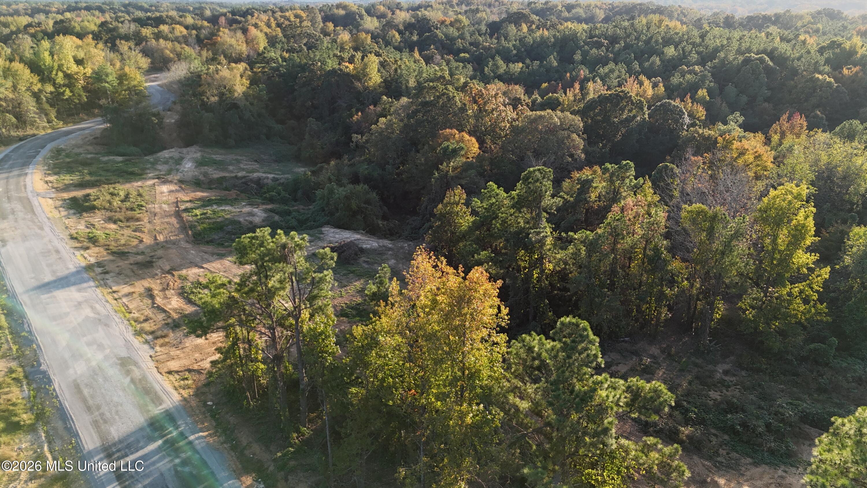 5 Tyro Branch Cove Property Photo 4