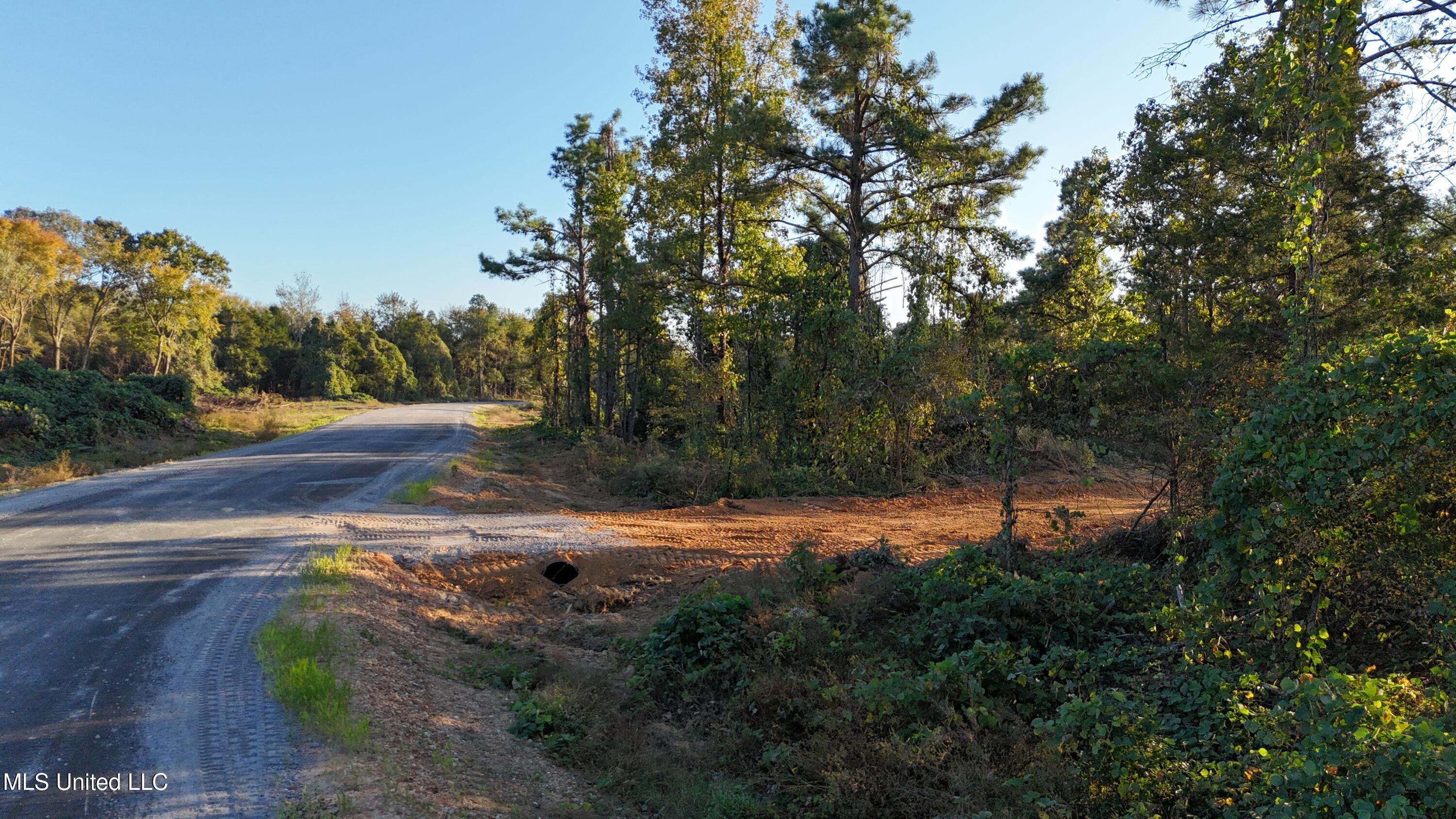 5 Tyro Branch Cove Property Photo 5