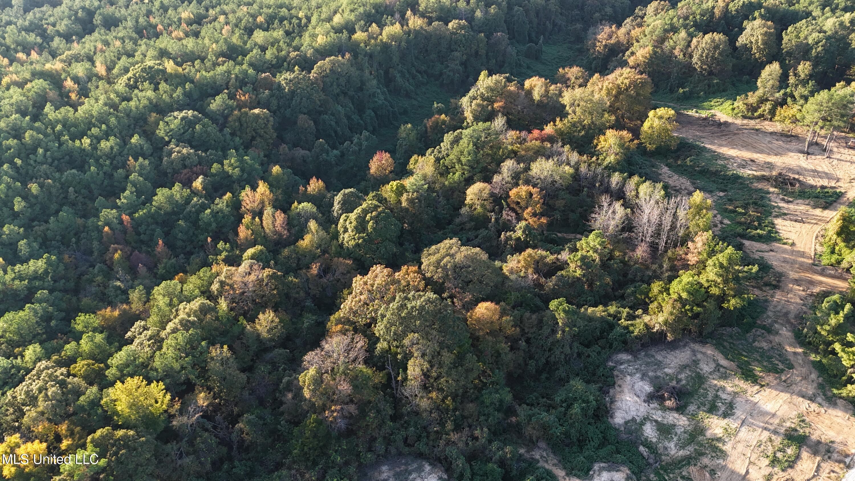 5 Tyro Branch Cove Property Photo 6