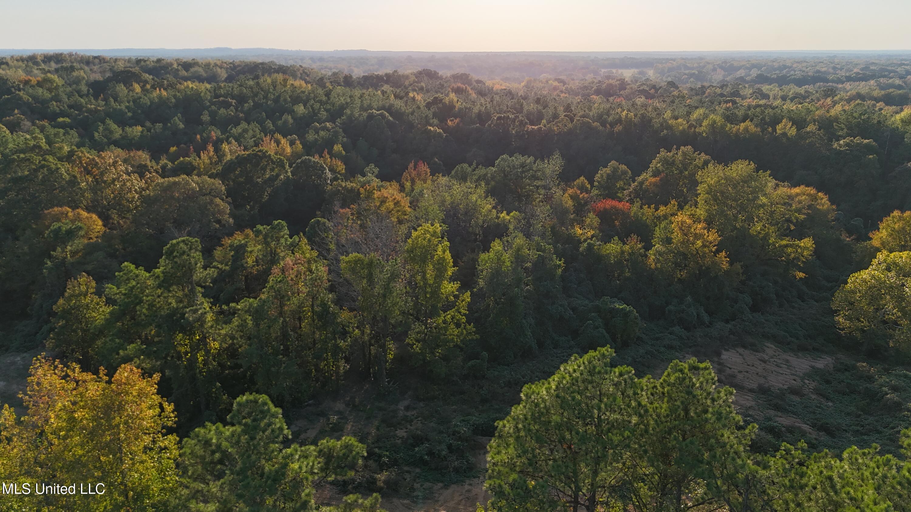 5 Tyro Branch Cove Property Photo 7