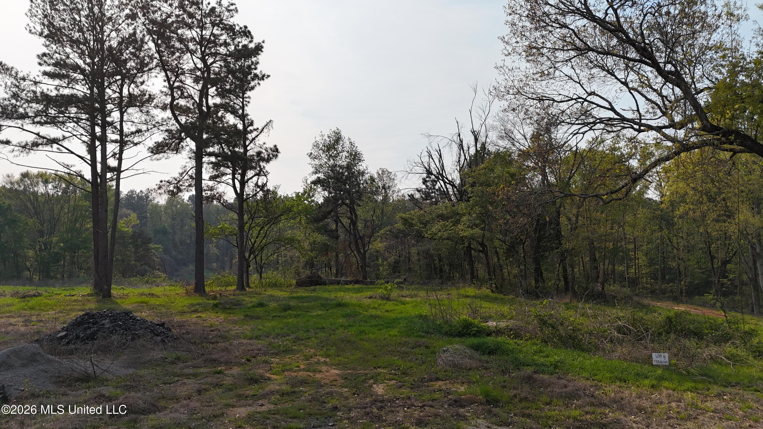 6 Tyro Branch Cove Property Photo 2