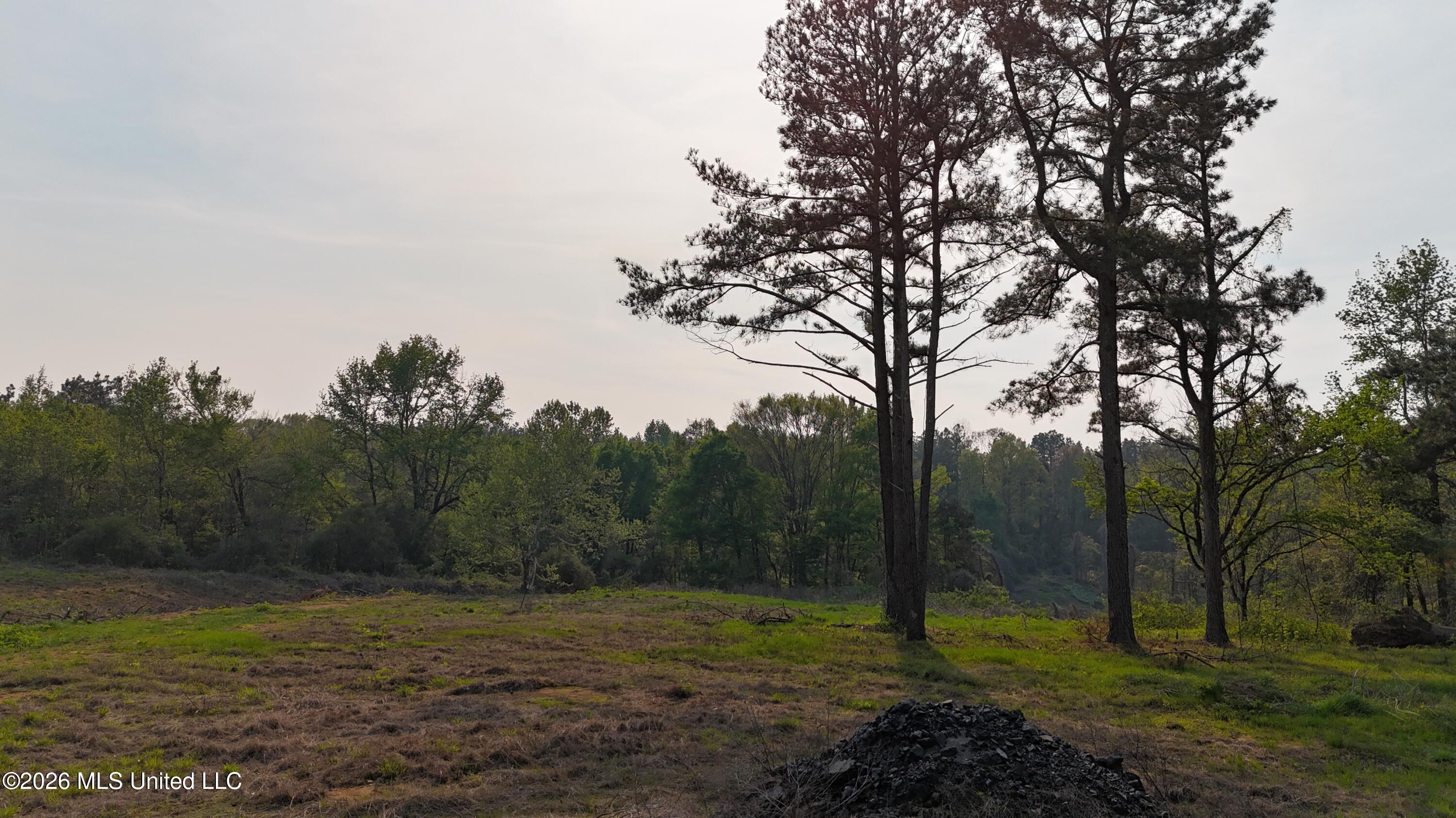 6 Tyro Branch Cove Property Photo 3
