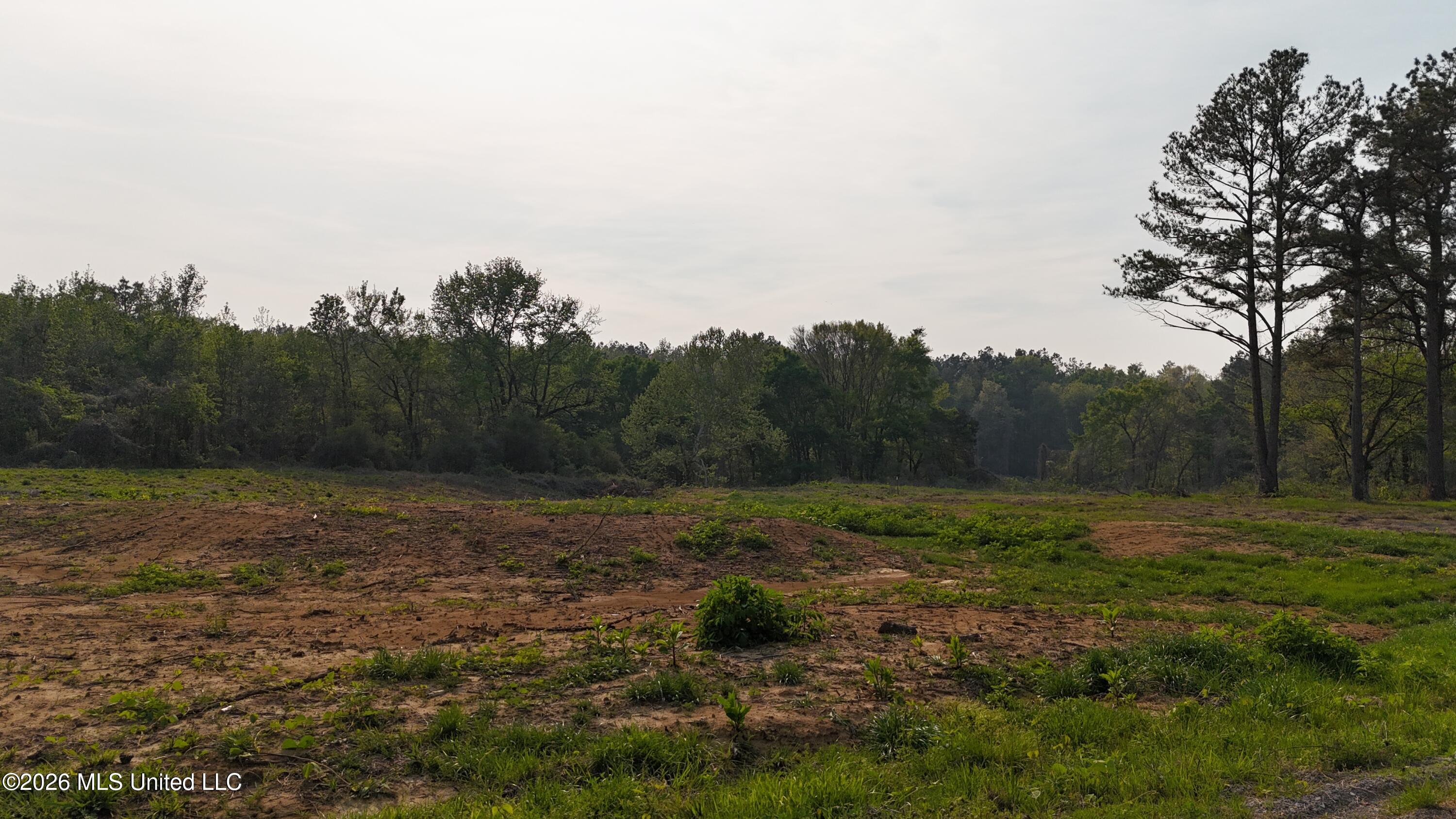6 Tyro Branch Cove Property Photo 4