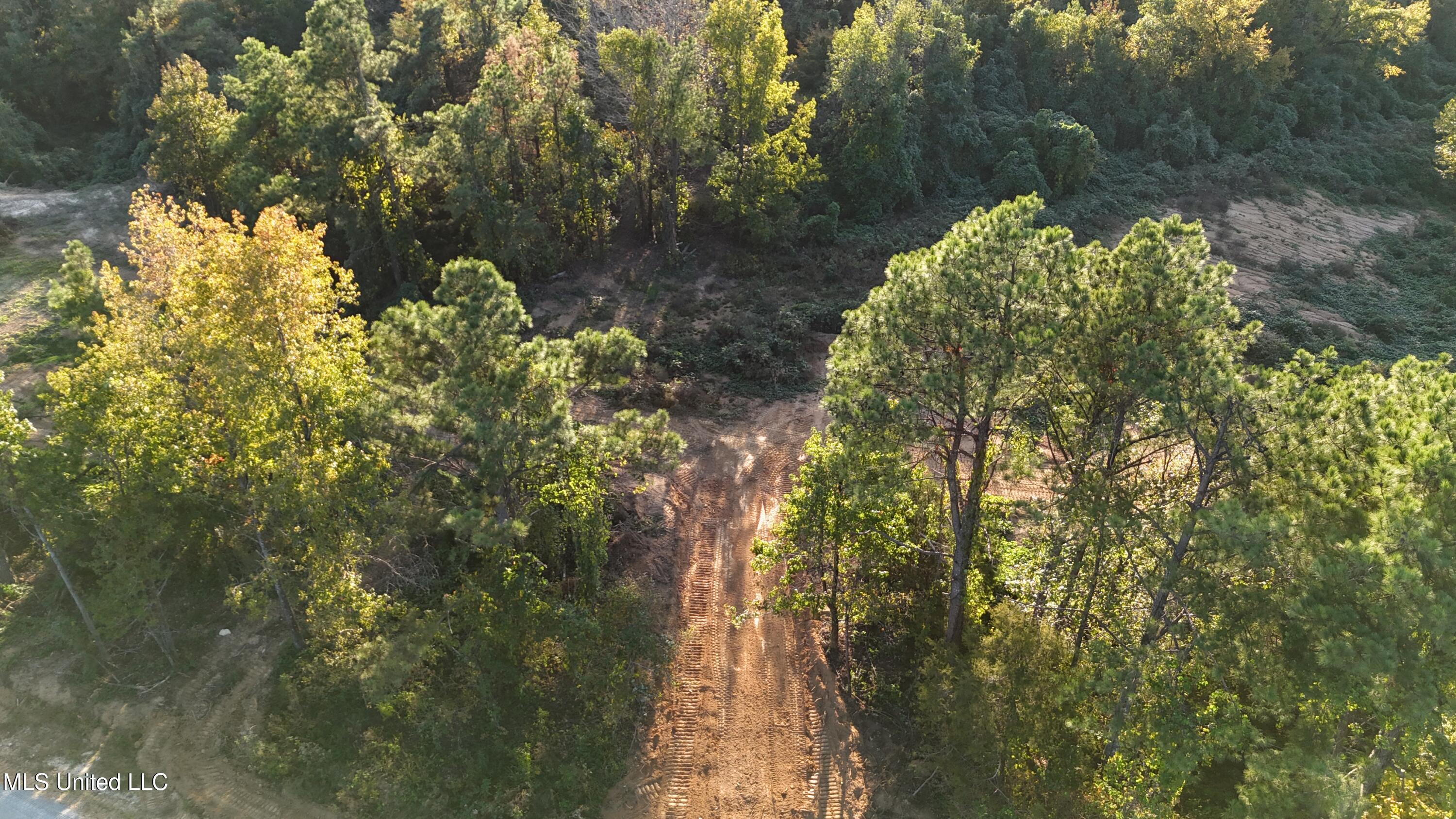6 Tyro Branch Cove Property Photo 5
