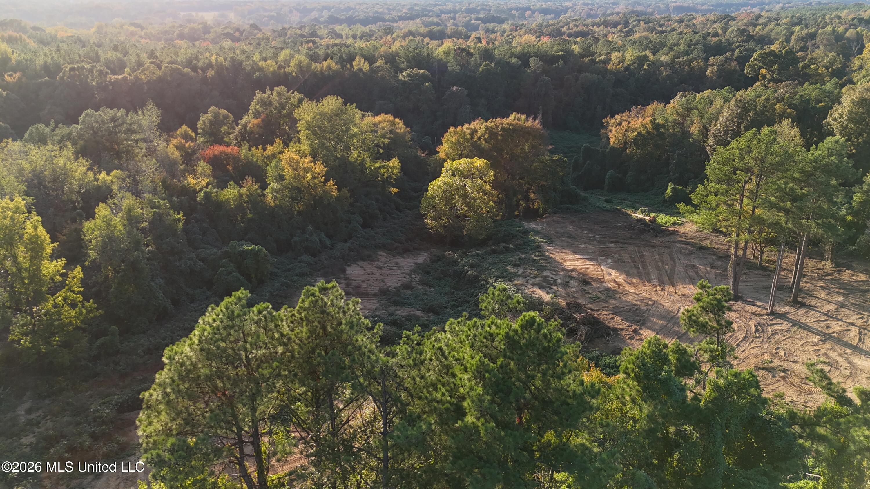 6 Tyro Branch Cove Property Photo 6