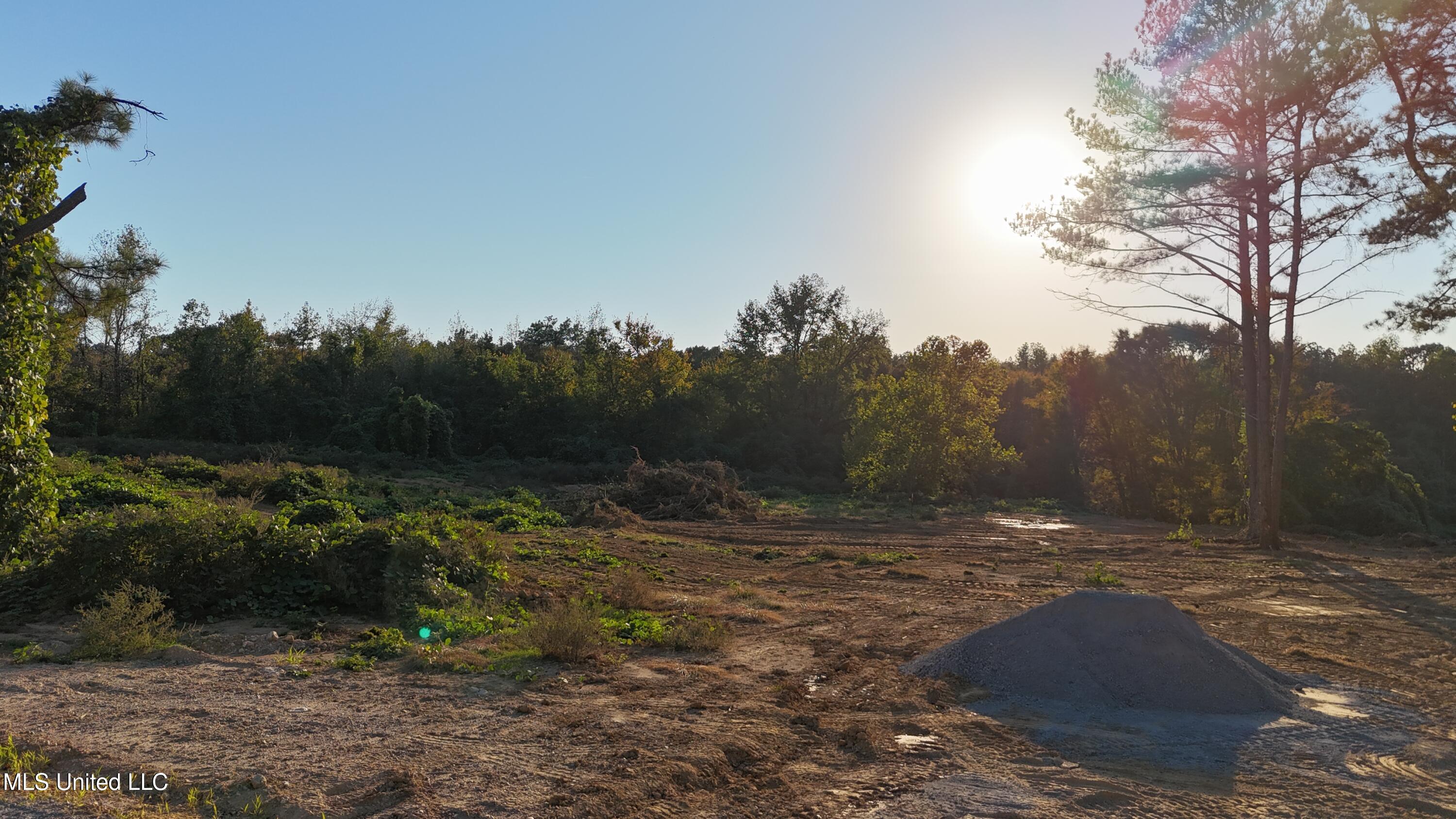 6 Tyro Branch Cove Property Photo 8