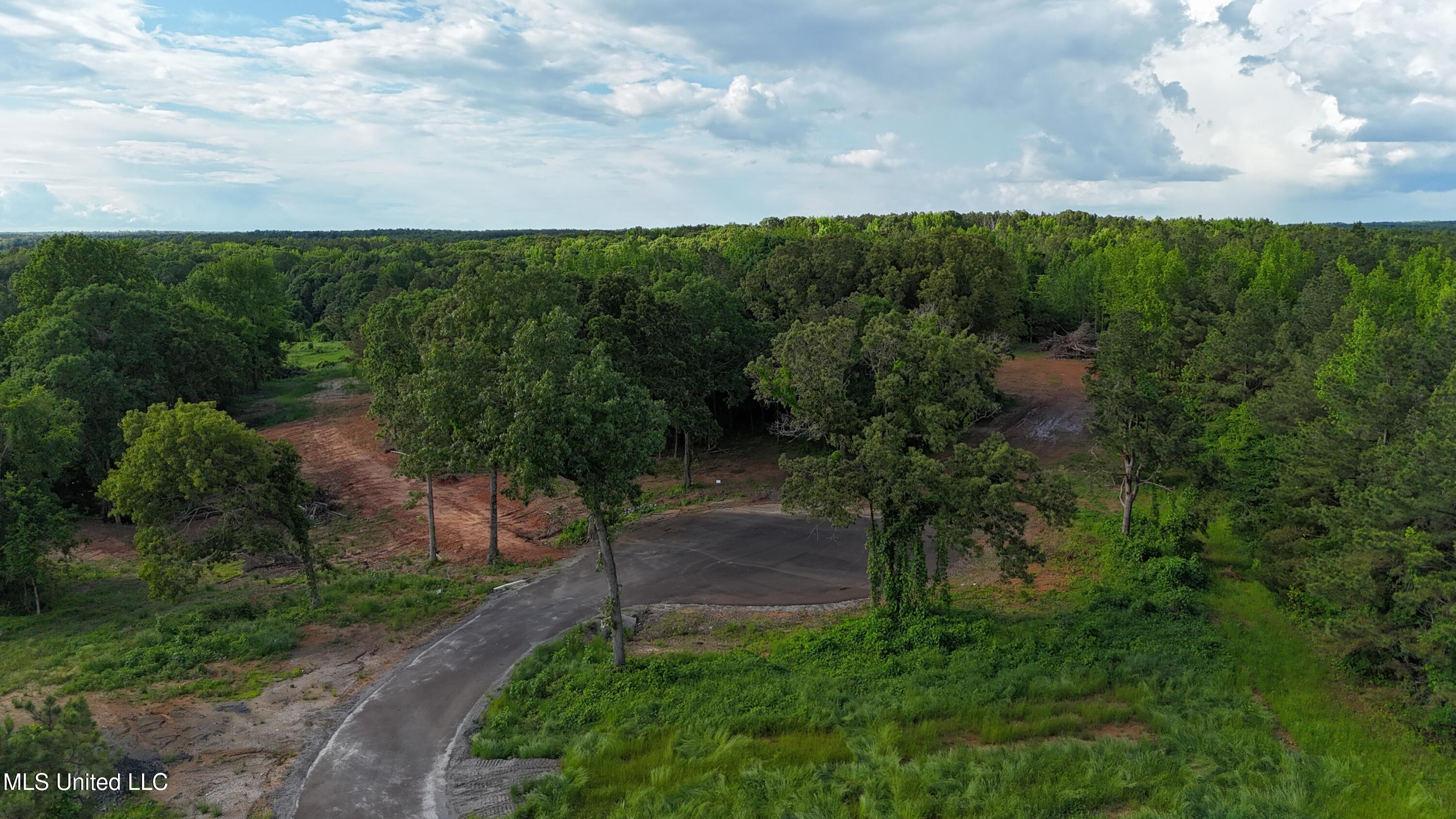 7 Tyro Branch Cove Property Photo 3