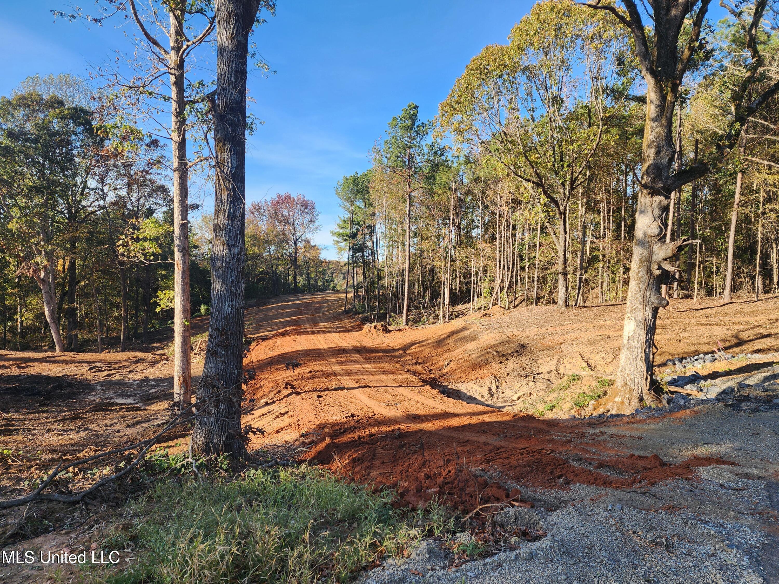 7 Tyro Branch Cove Property Photo 4