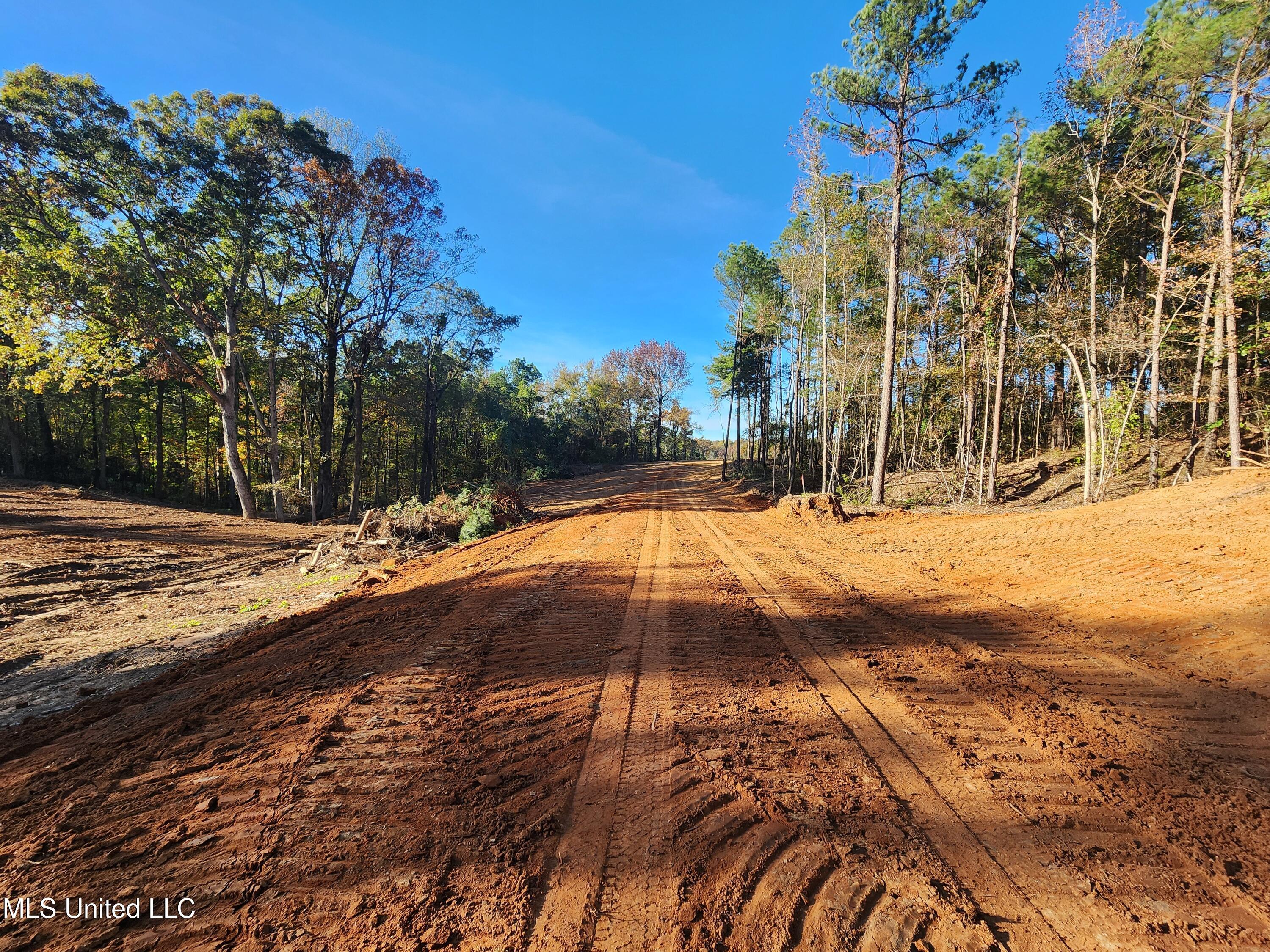 7 Tyro Branch Cove Property Photo 5