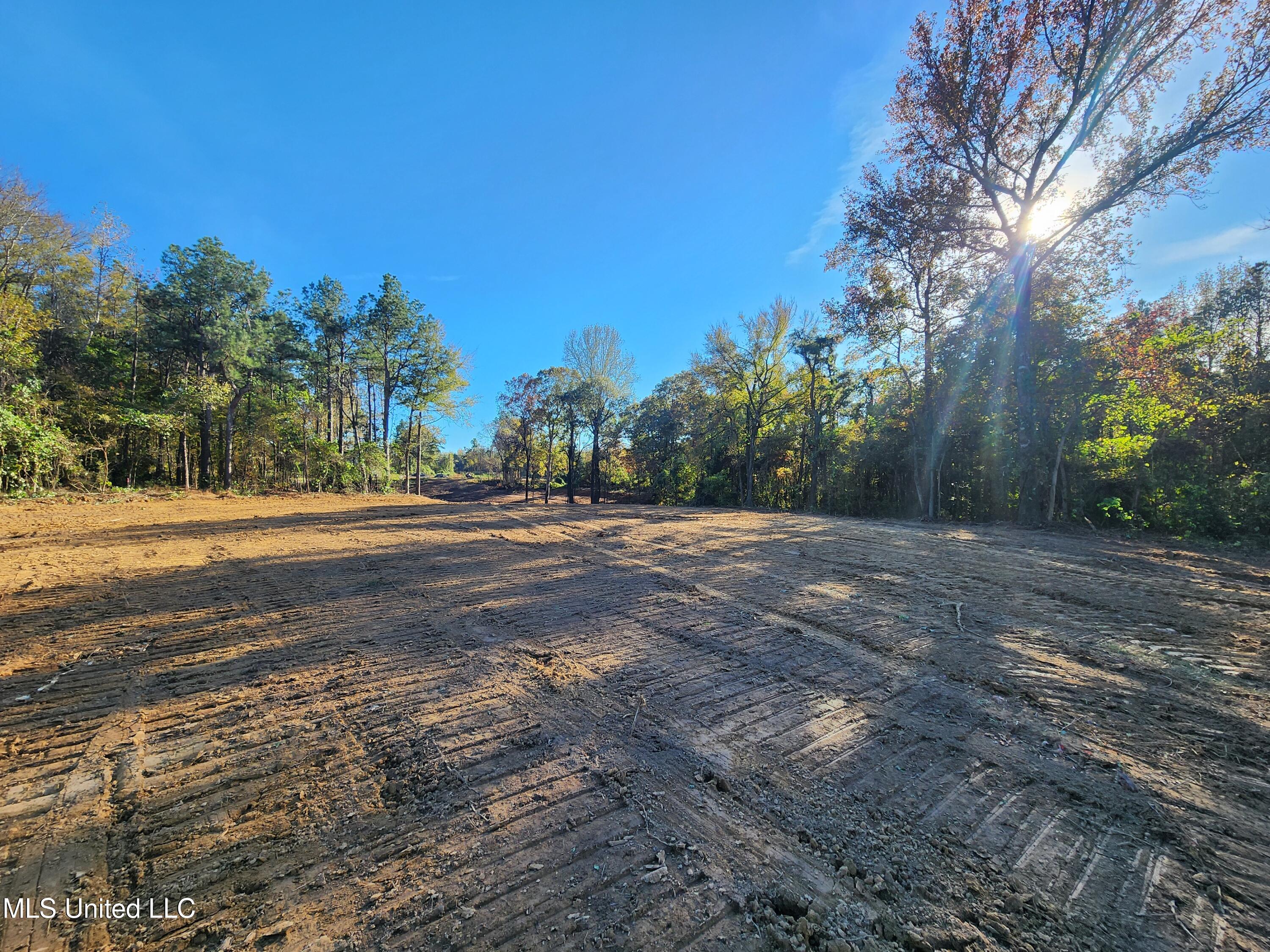 7 Tyro Branch Cove Property Photo 6