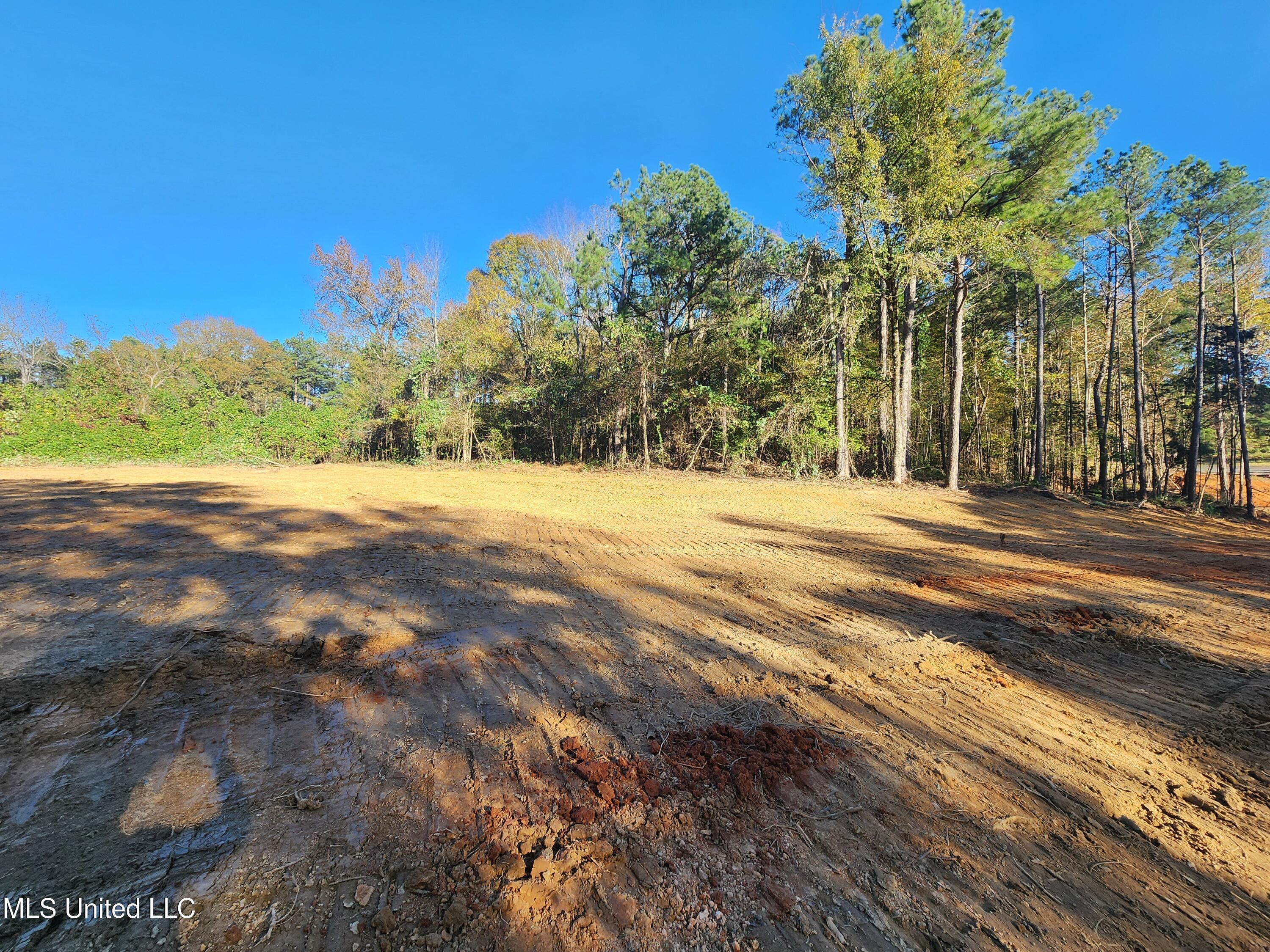7 Tyro Branch Cove Property Photo 7
