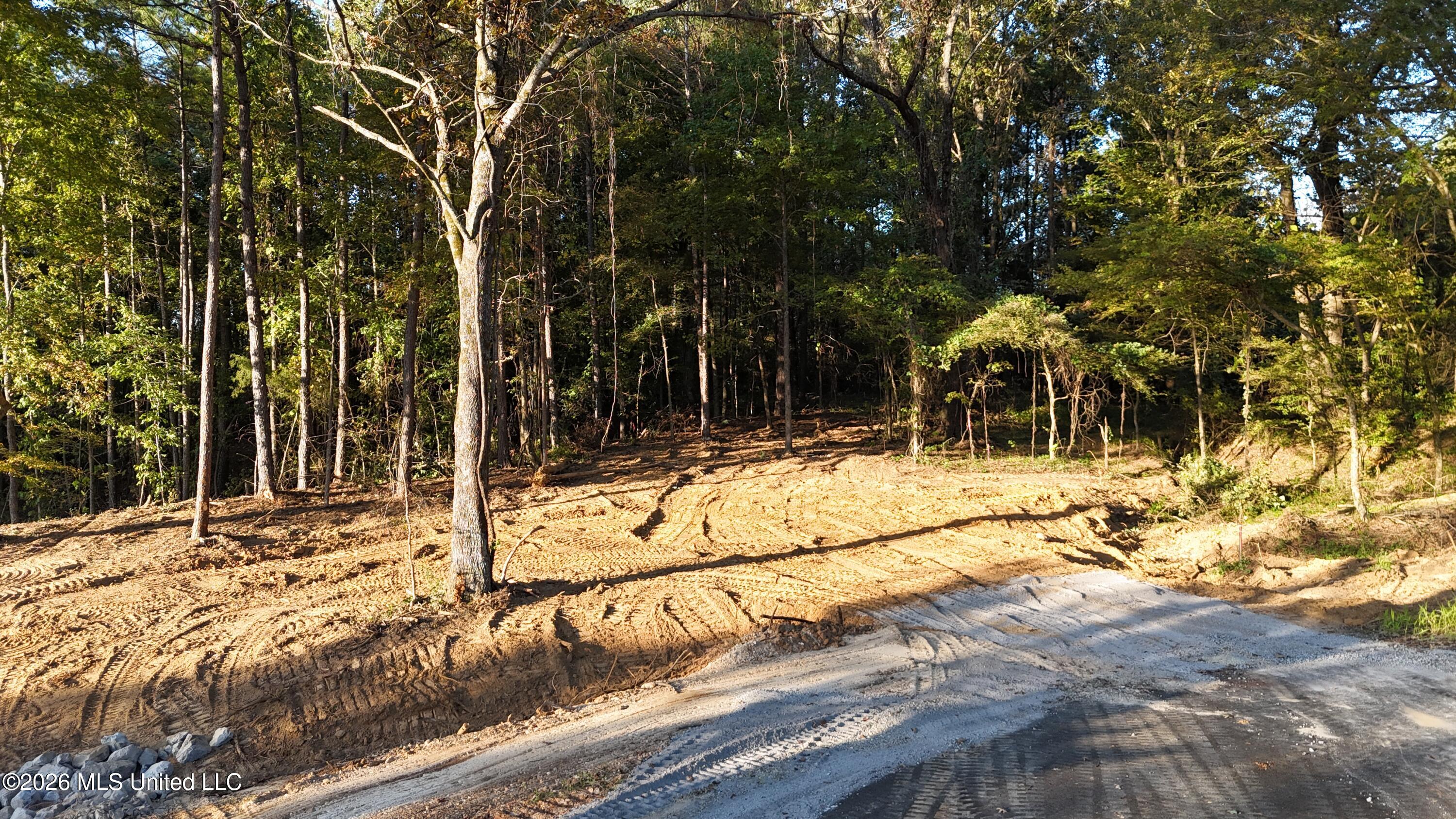 8 Tyro Branch Cove Property Photo 4