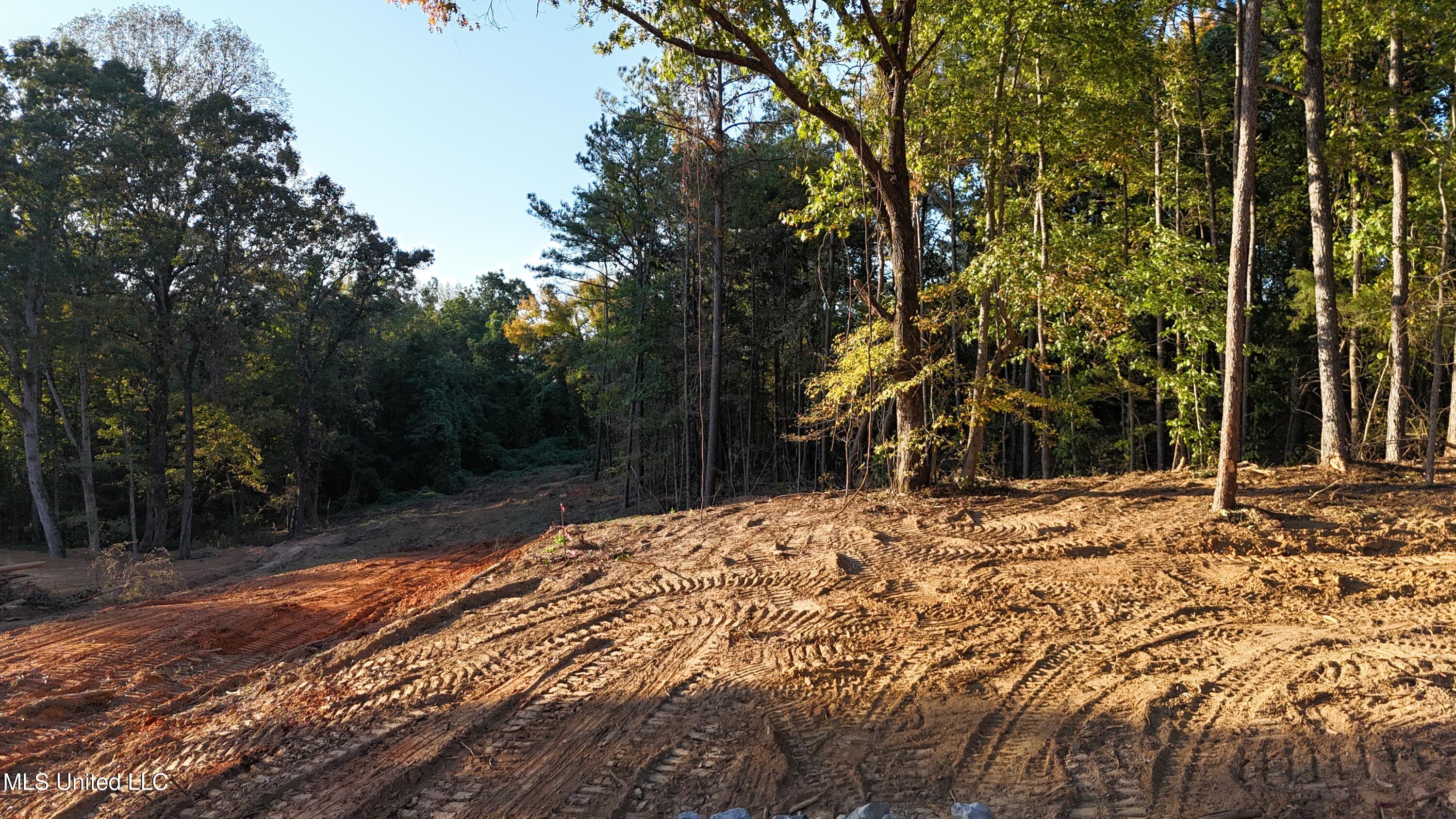8 Tyro Branch Cove Property Photo 5