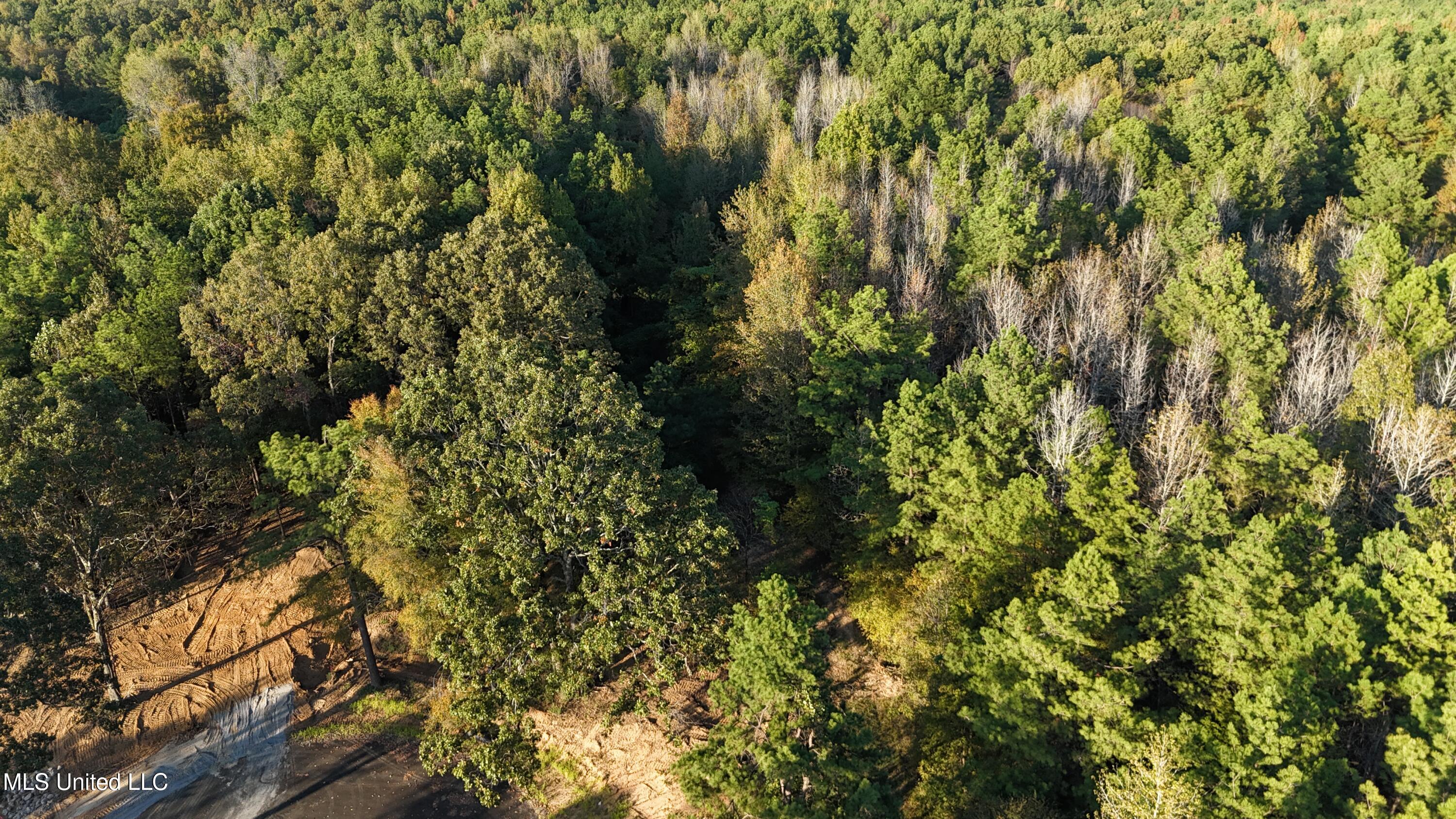 8 Tyro Branch Cove Property Photo 6