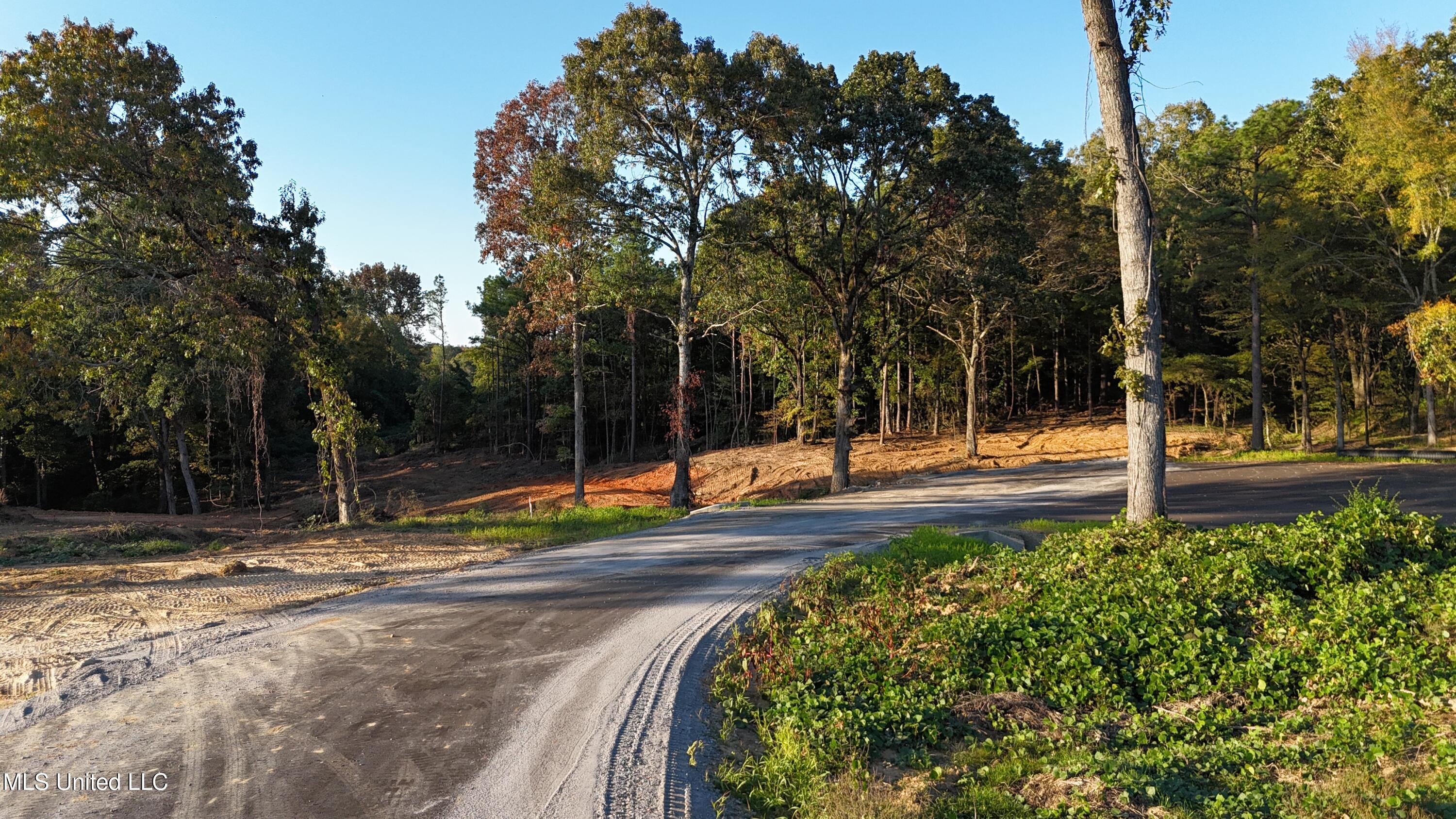 8 Tyro Branch Cove Property Photo 8