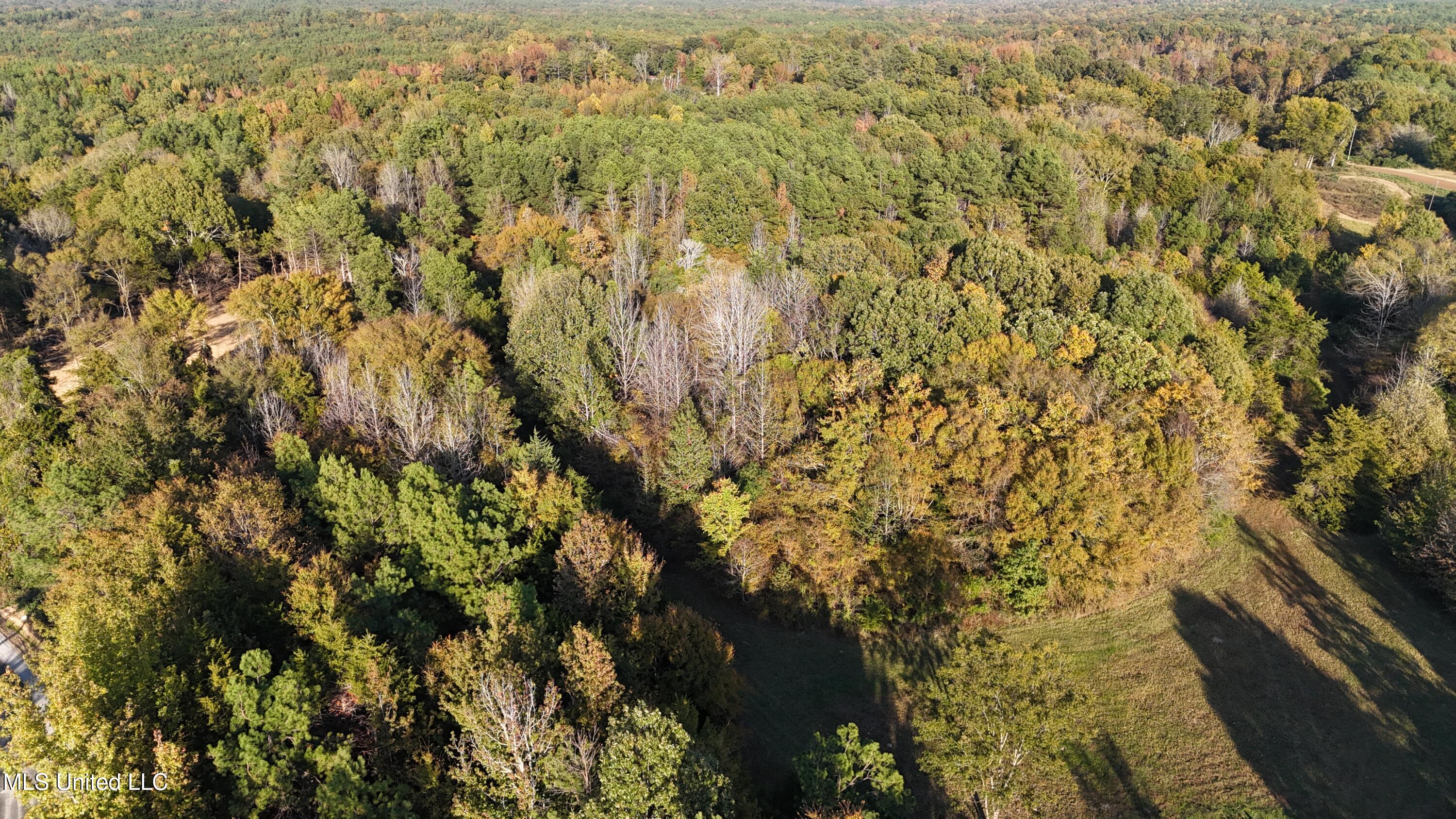 13 Tyro Branch Cove Property Photo 5