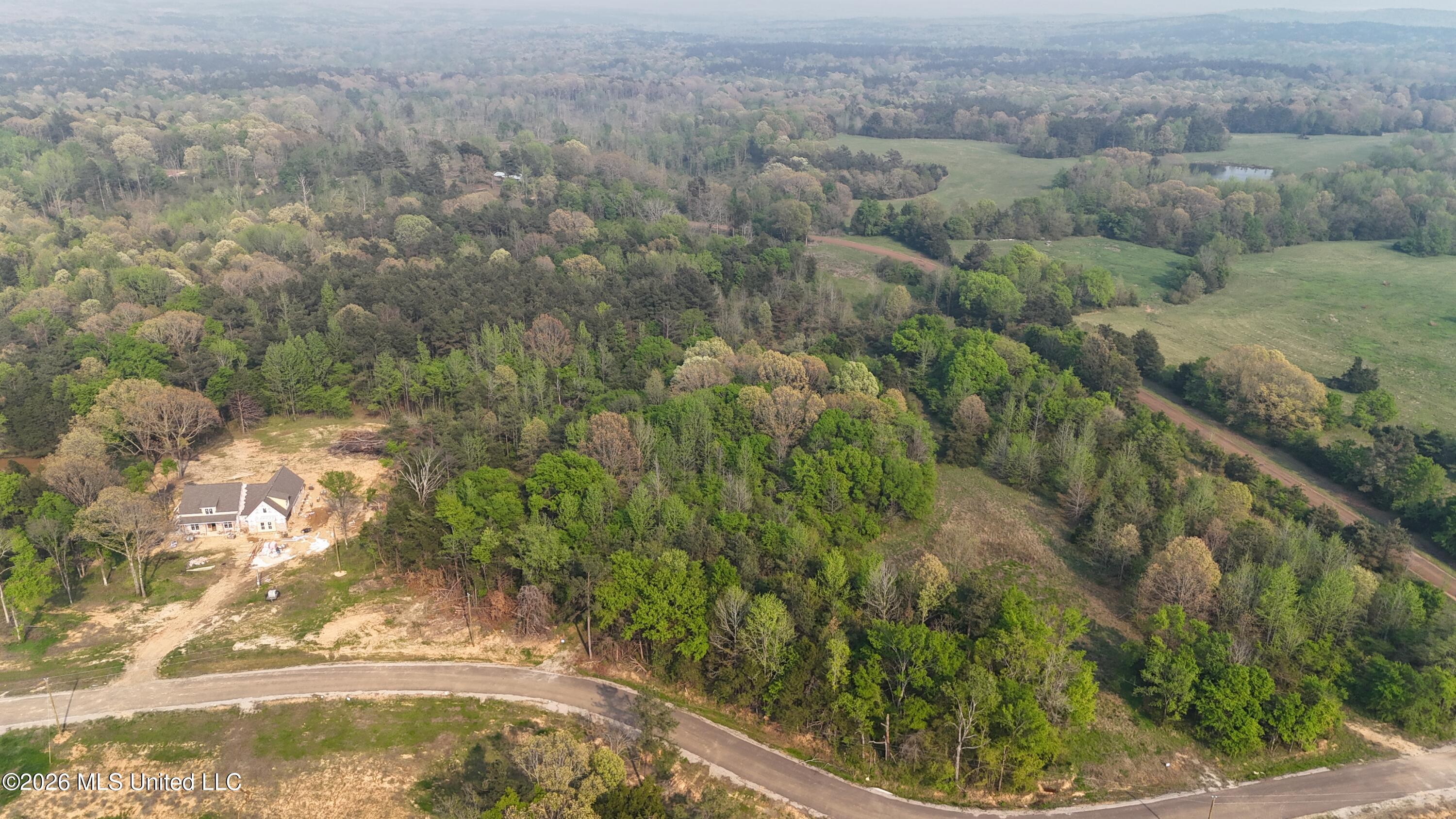 13 Tyro Branch Cove Property Photo 6