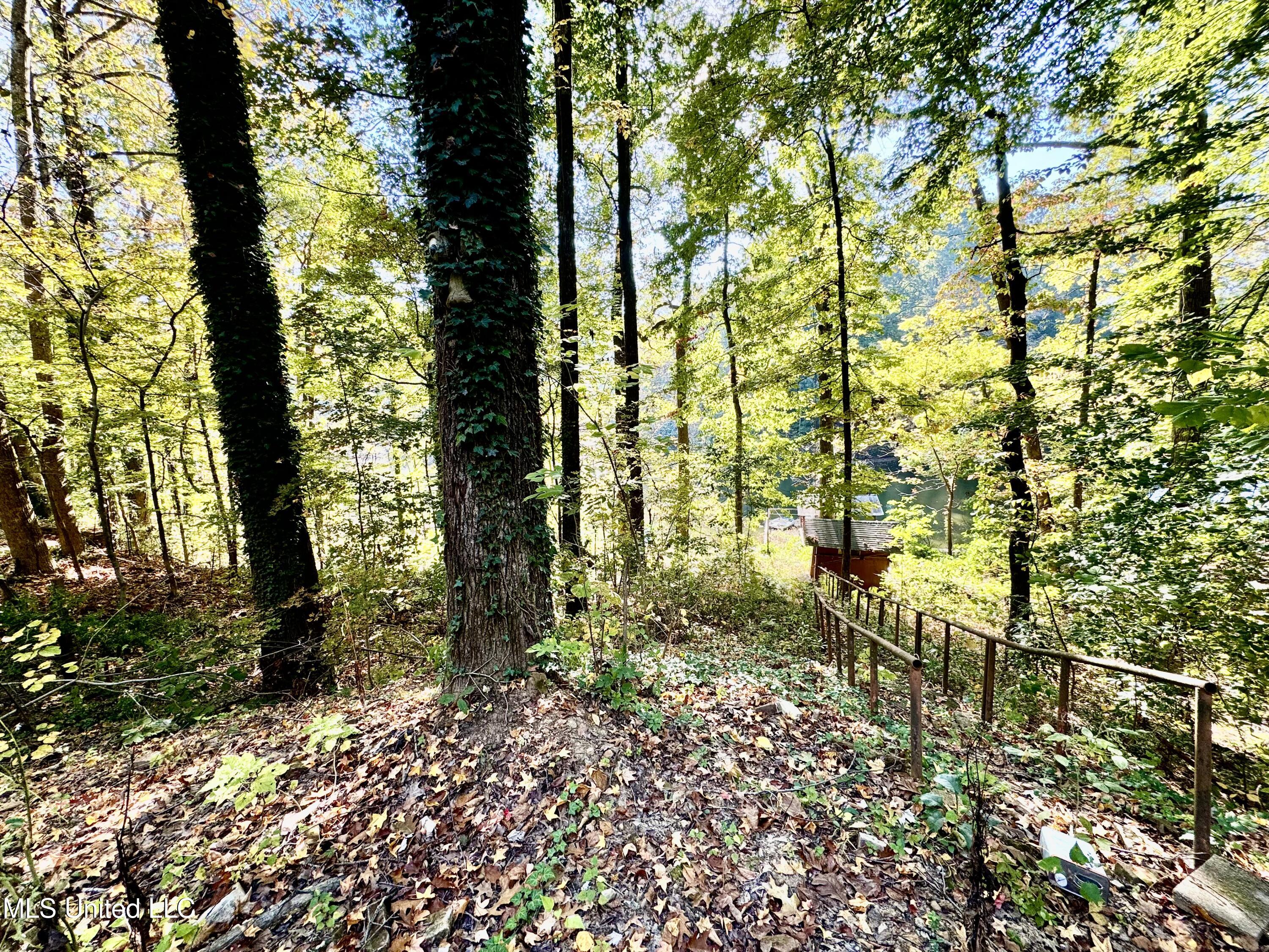 11485 Walnut Drive Property Photo 10