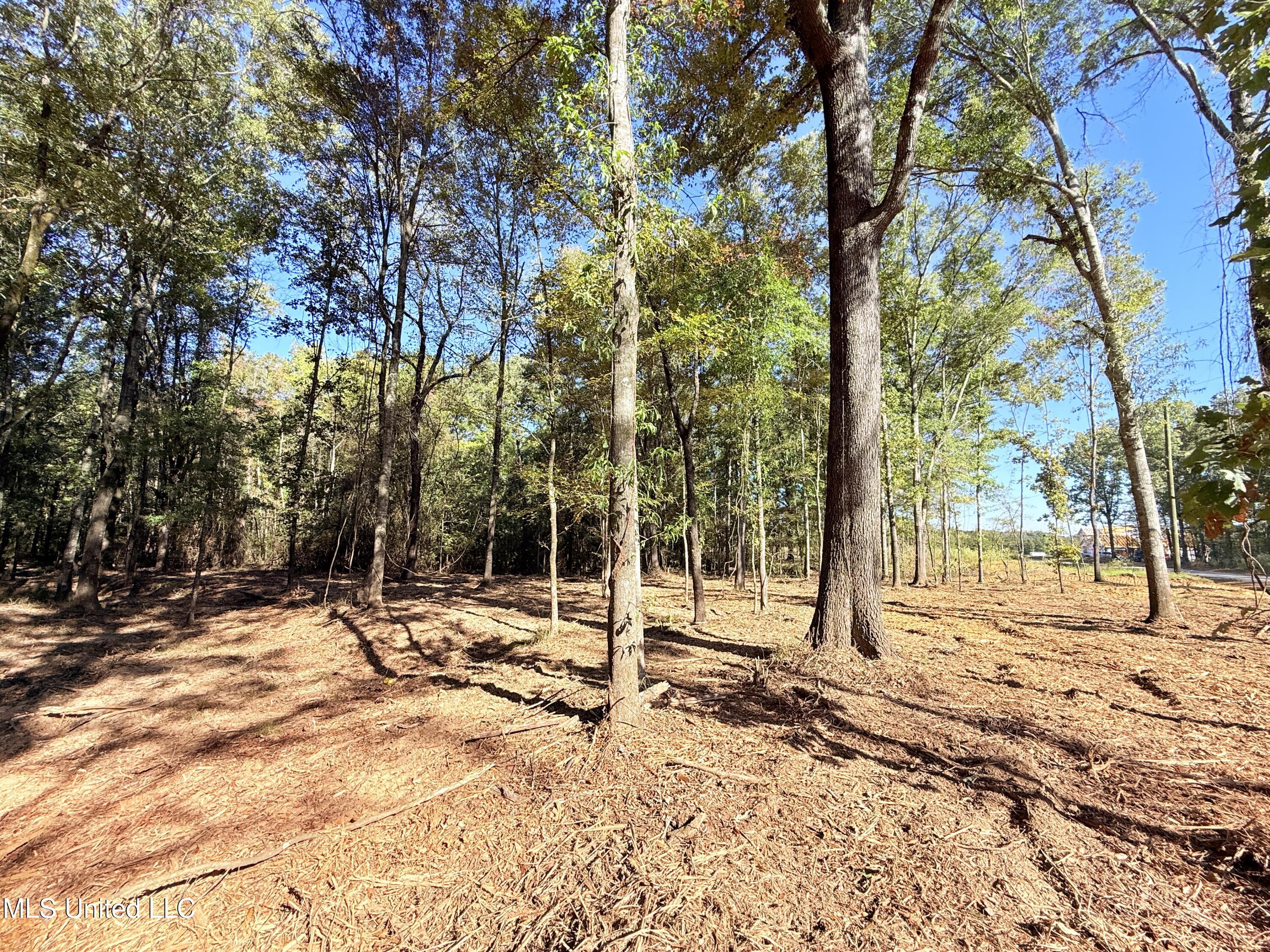 Stout Meadows Lane Property Photo 3