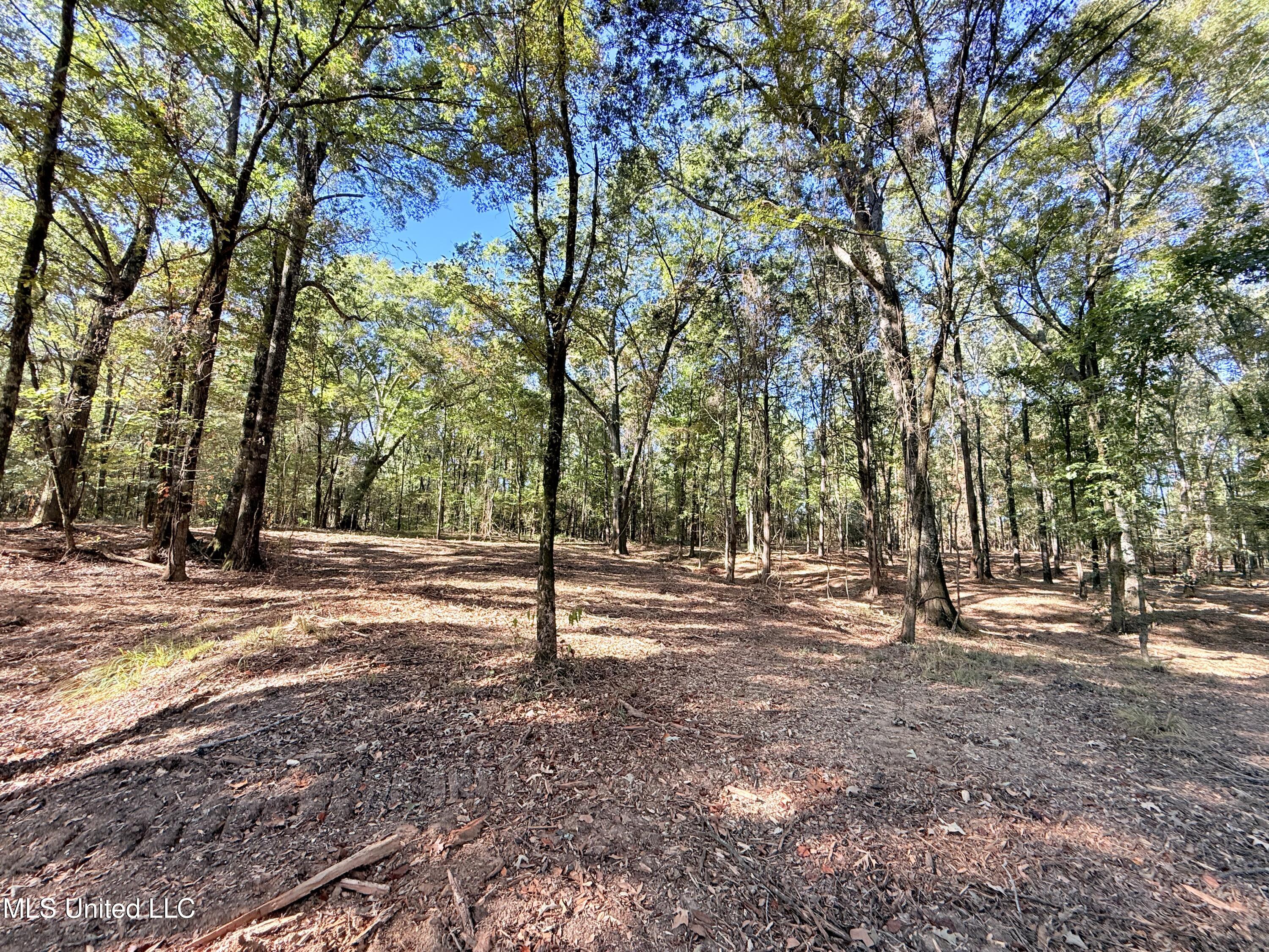 Stout Meadows Lane Property Photo 4