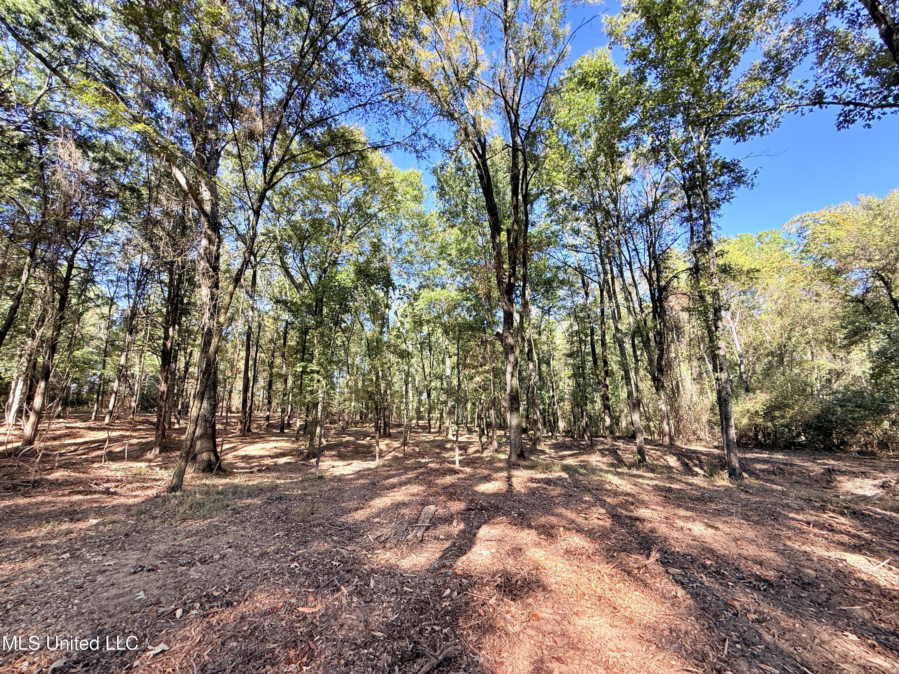 Stout Meadows Lane Property Photo 5