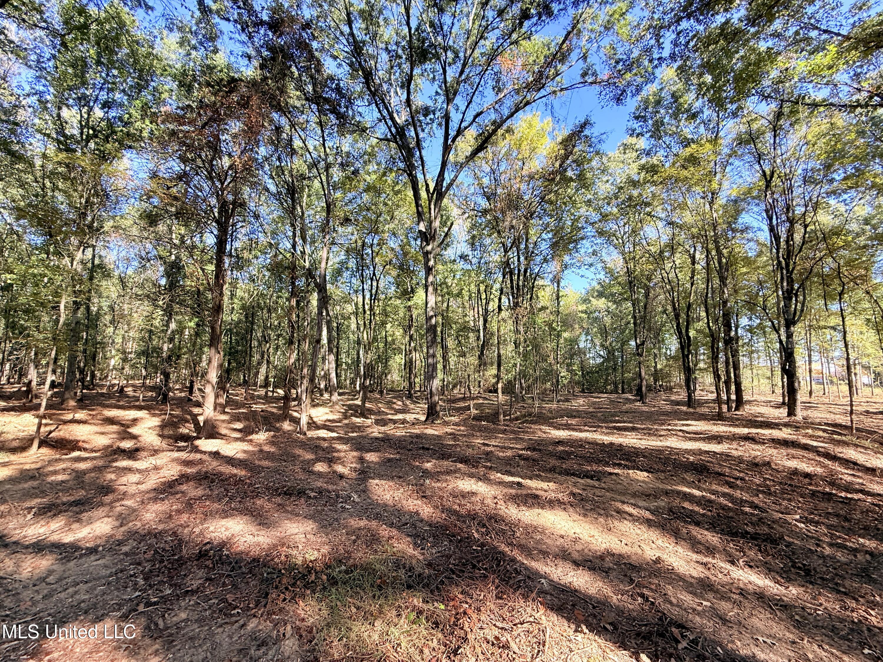 Stout Meadows Lane Property Photo 6