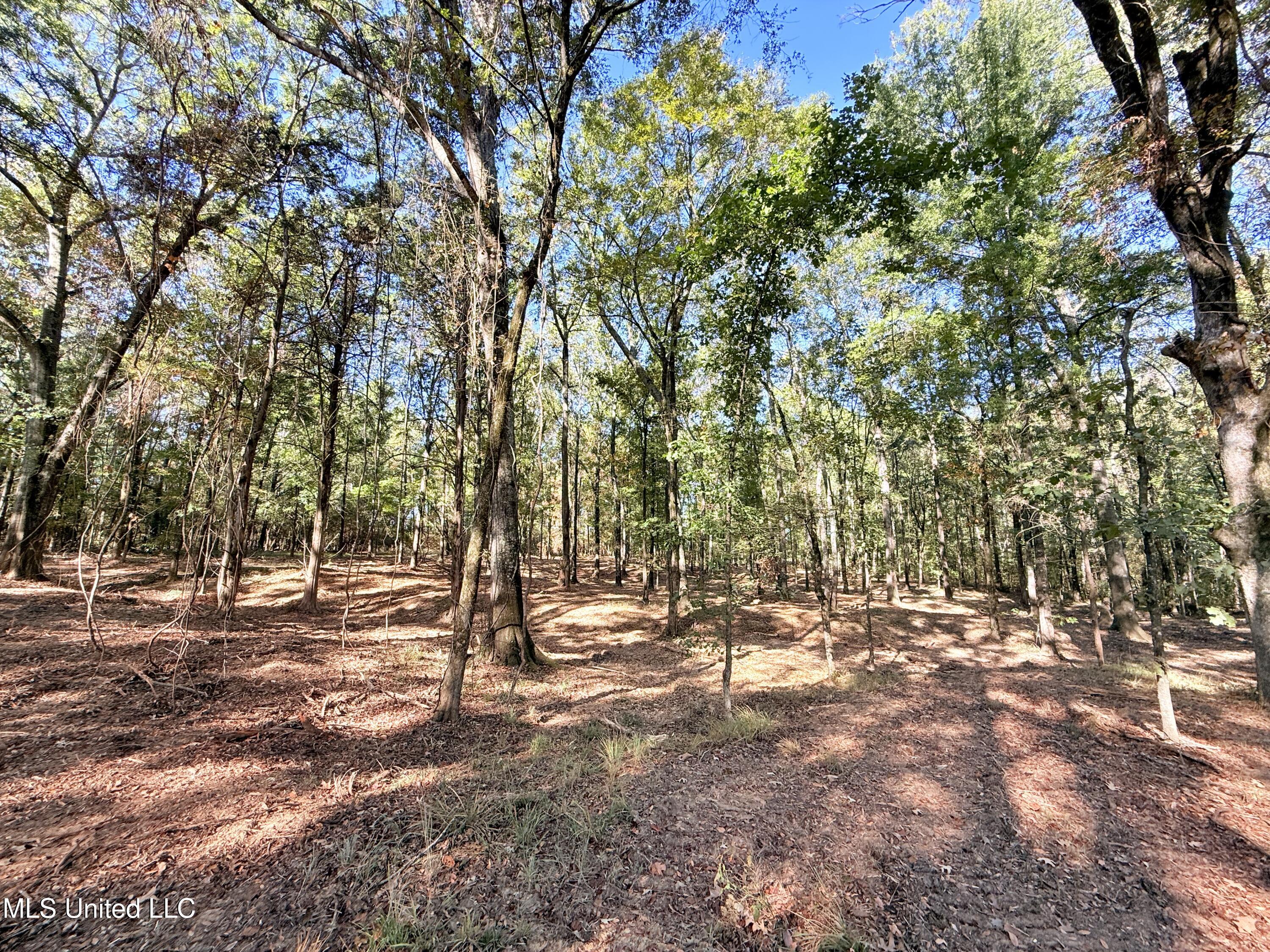 Stout Meadows Lane Property Photo 7