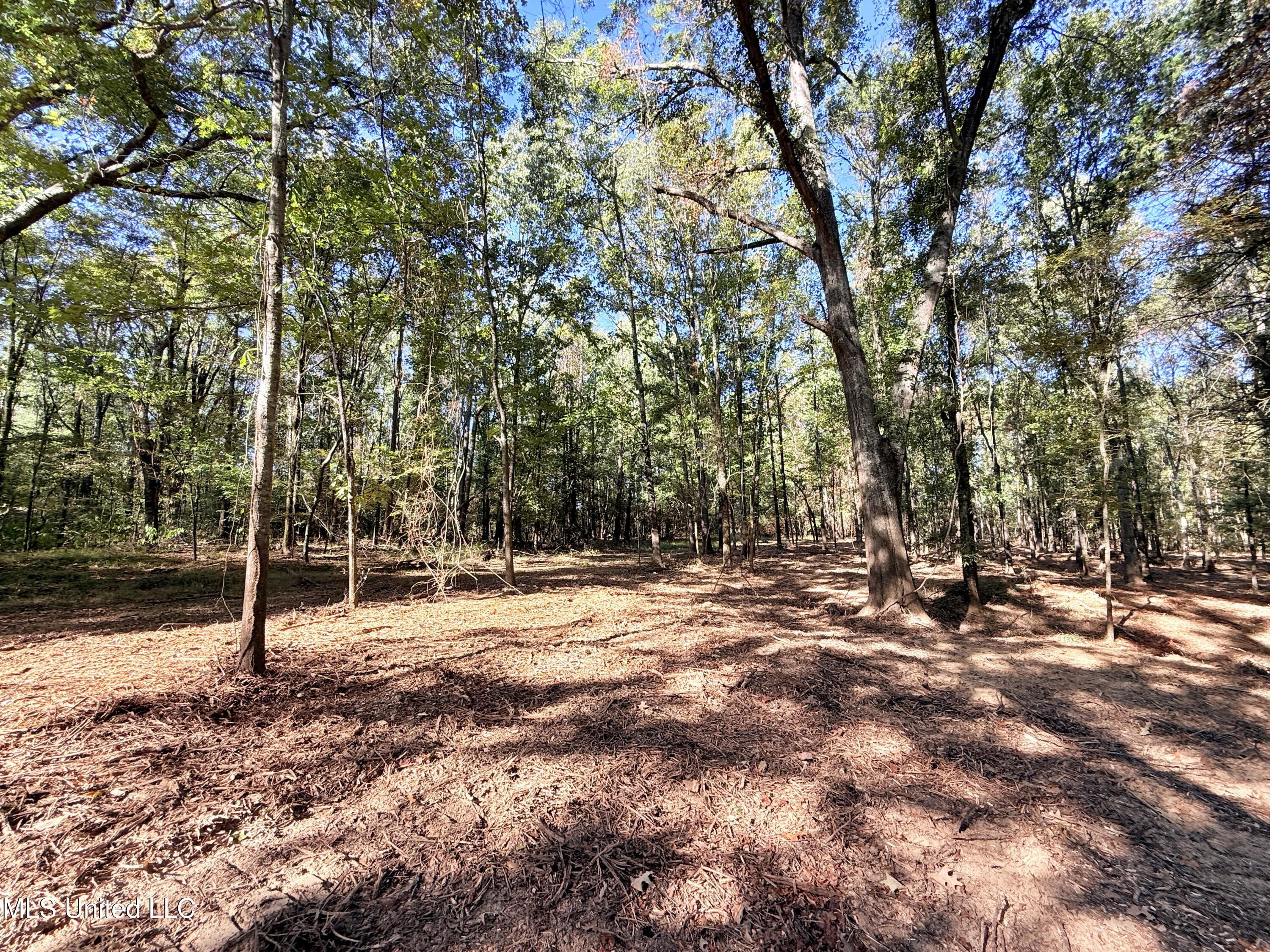 Stout Meadows Lane Property Photo 8
