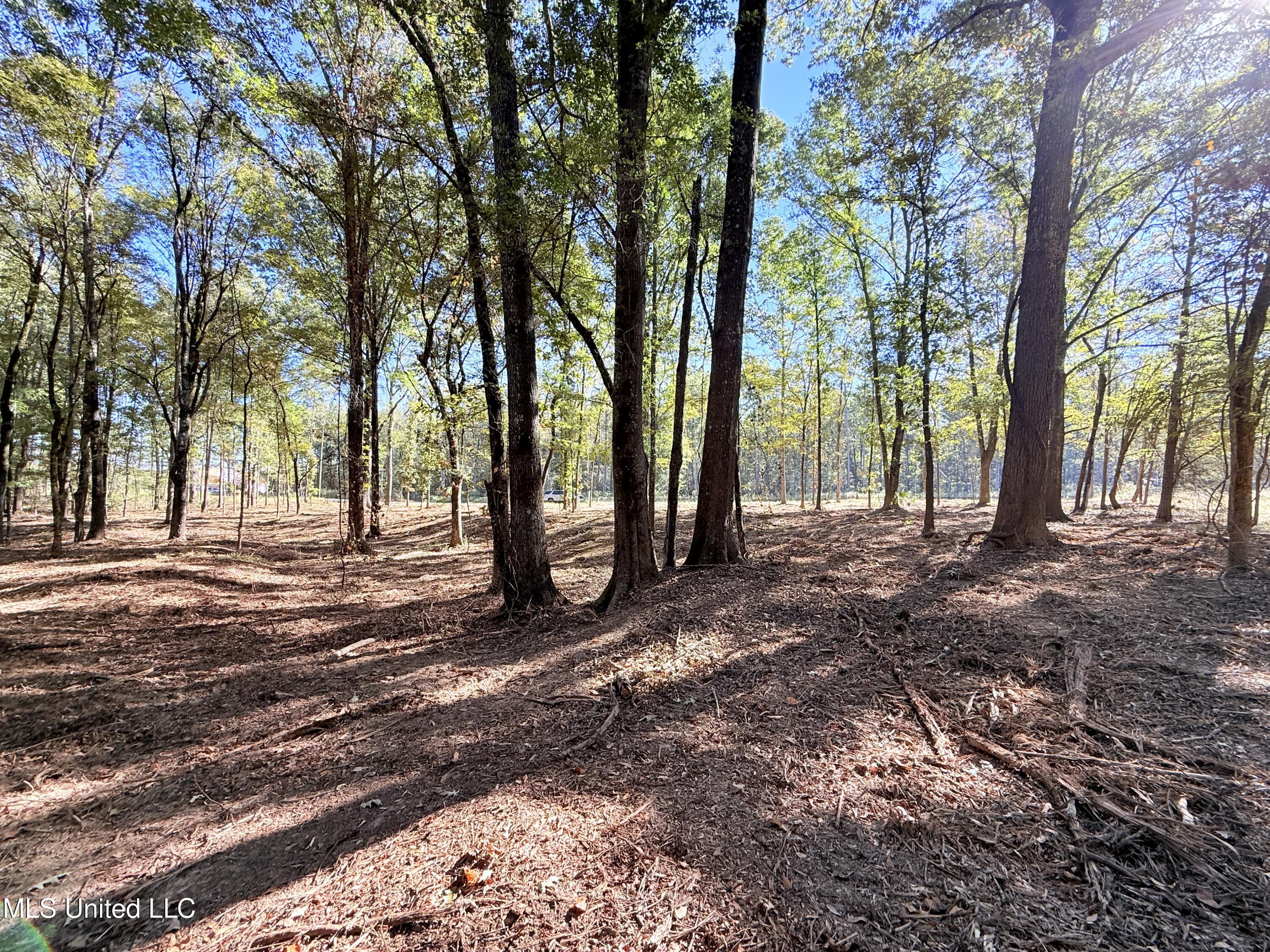 Stout Meadows Lane Property Photo 9