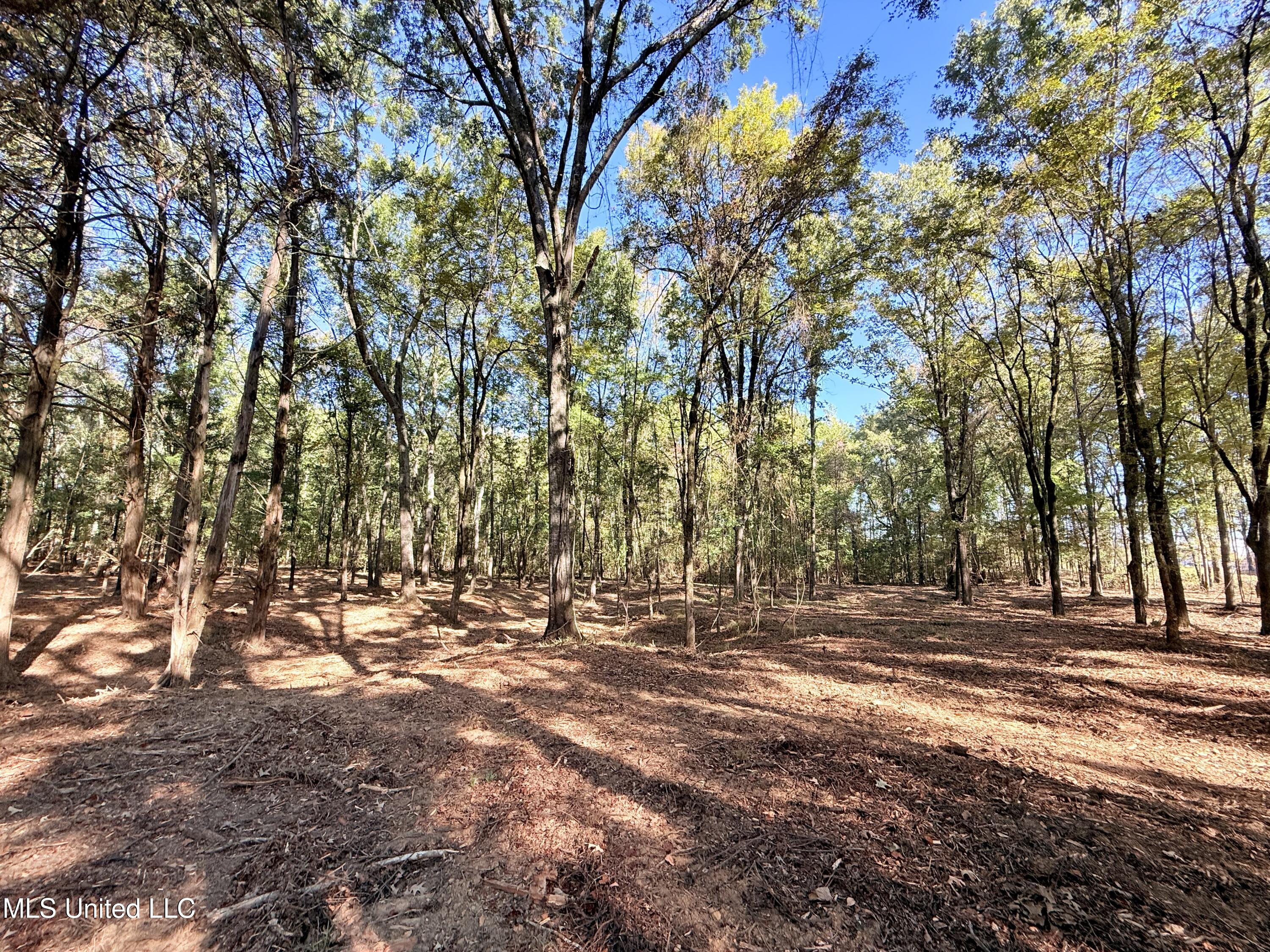 Stout Meadows Lane Property Photo 10