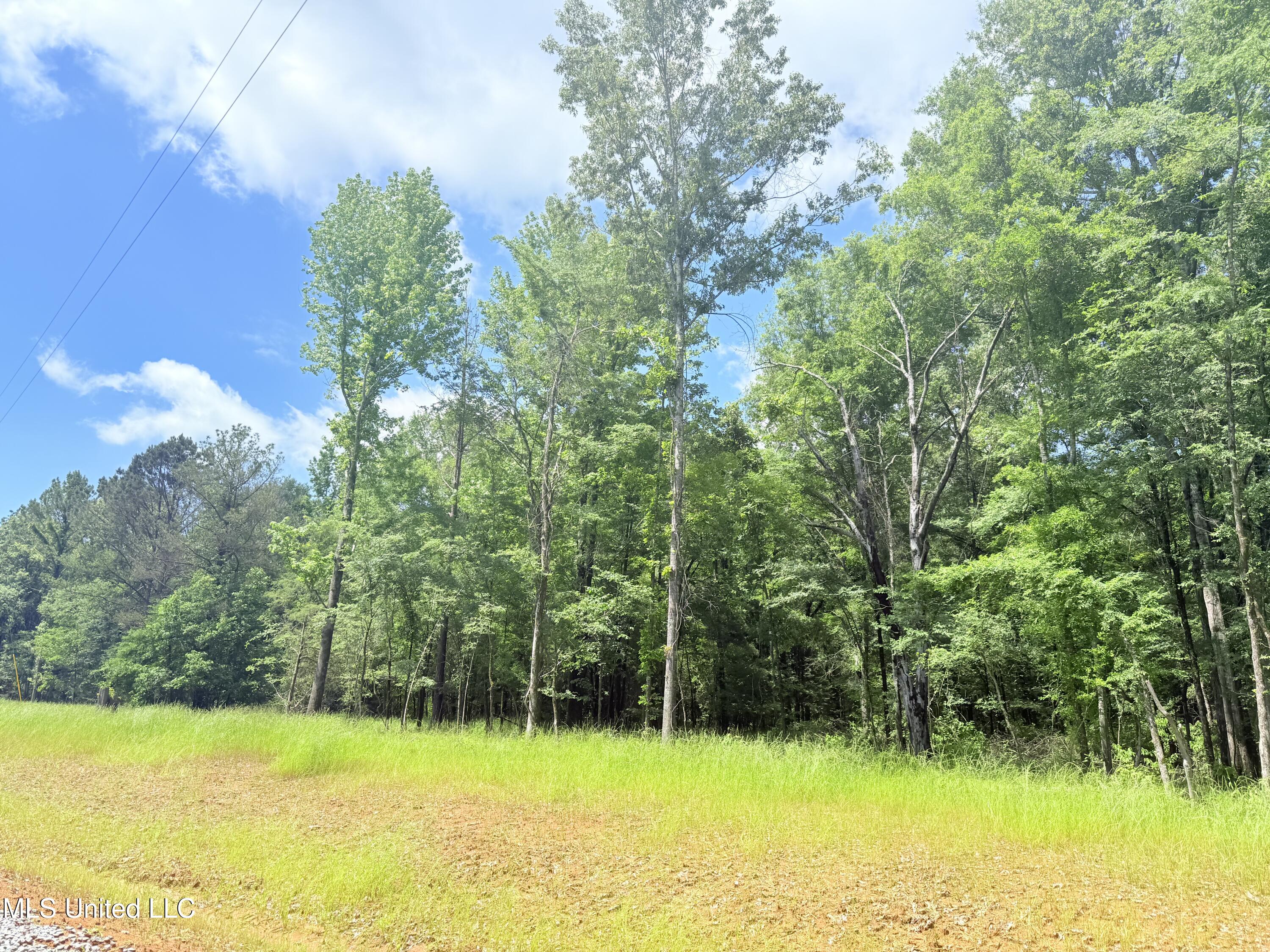 Stout Meadows Lane Property Photo 27