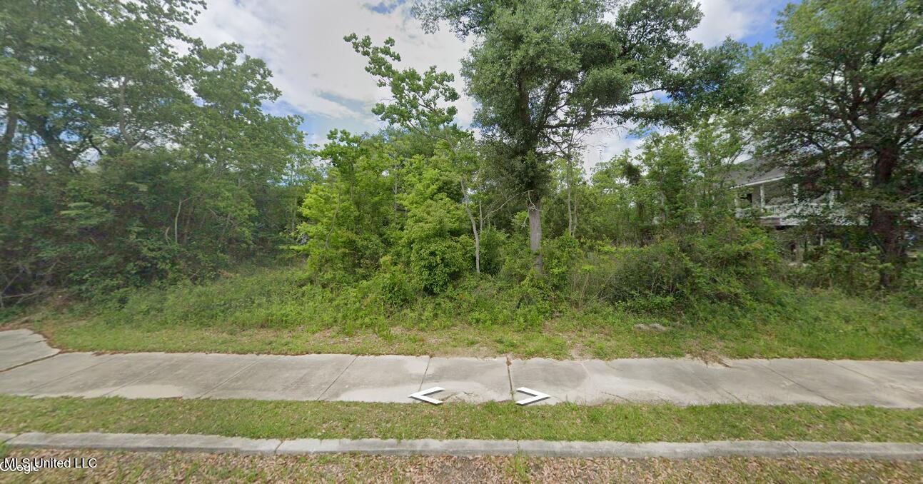 0 Dunbar Avenue Property Photo 1